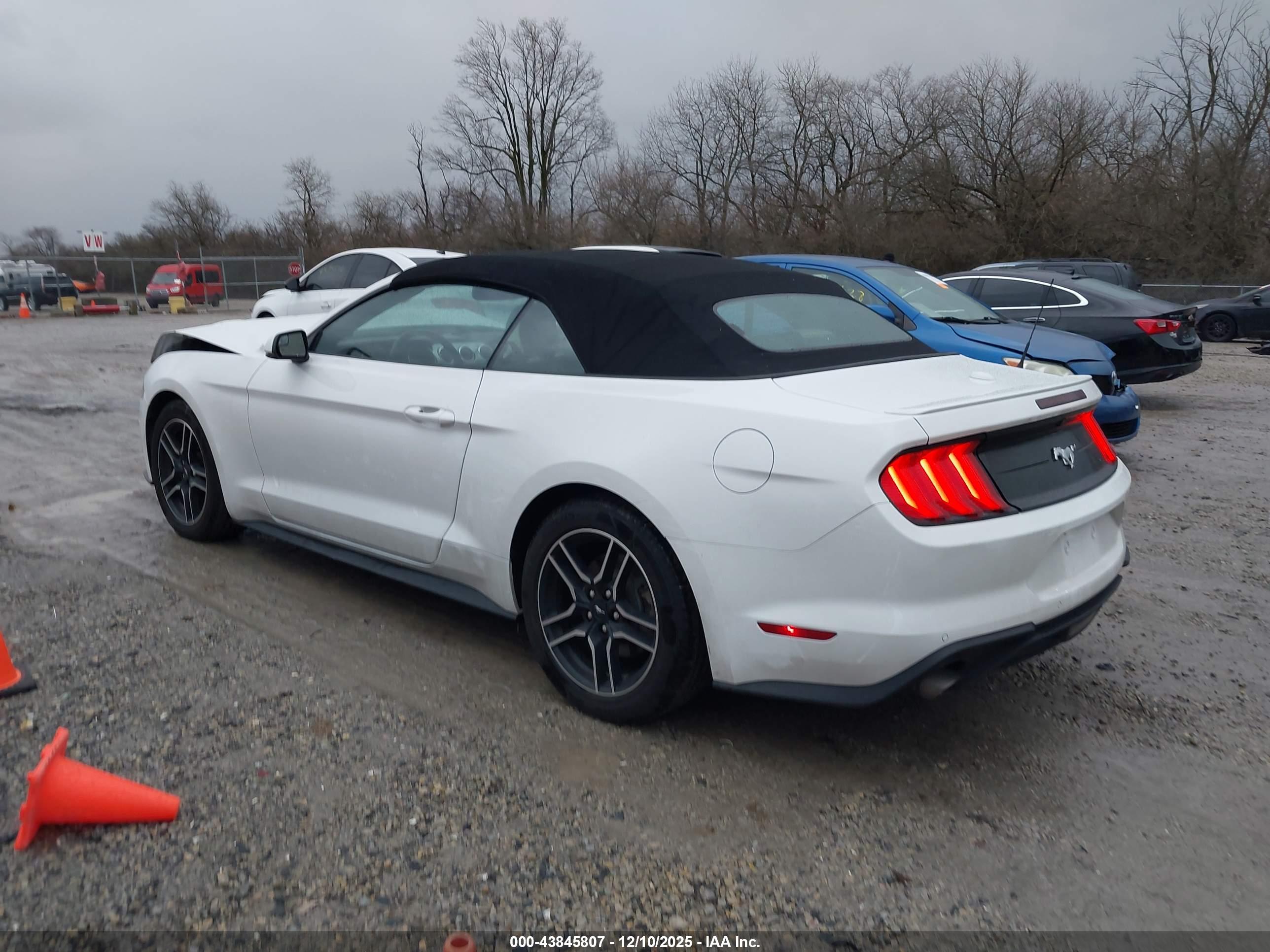FORD MUSTANG image 3