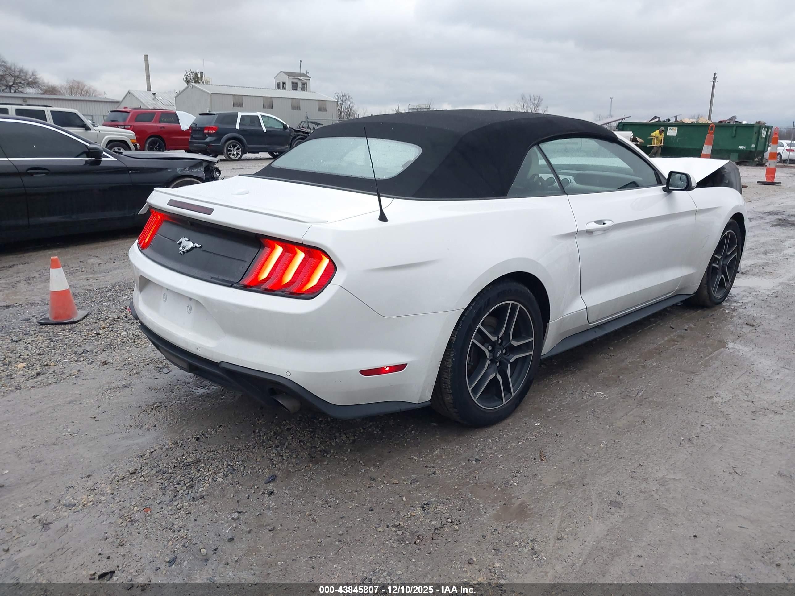 FORD MUSTANG image 4