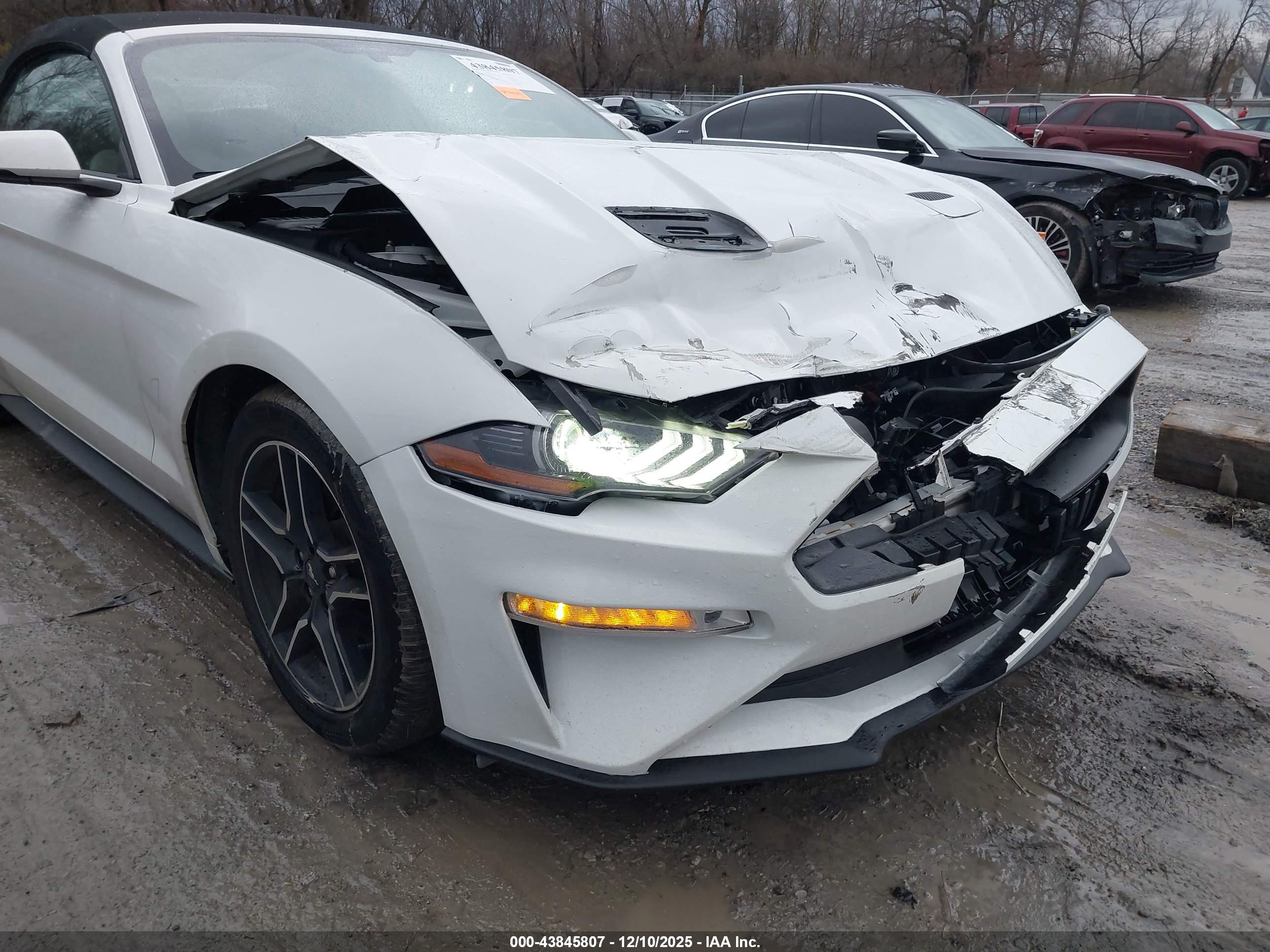 FORD MUSTANG image 6