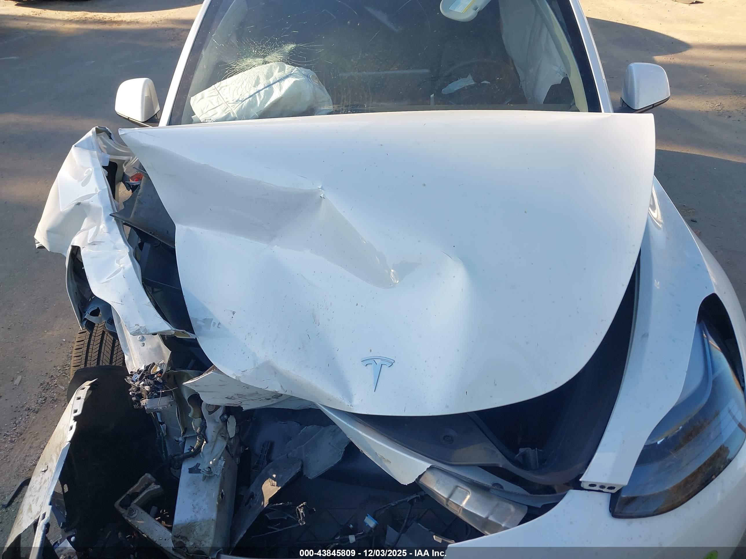 TESLA MODEL image 10