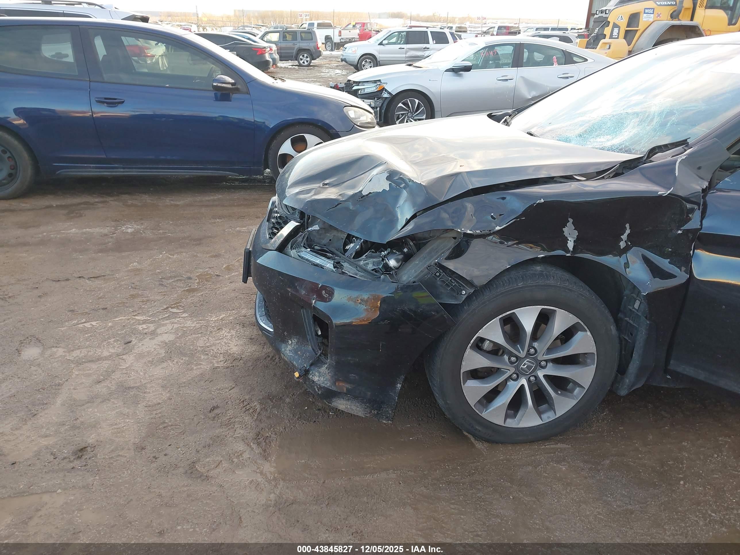 HONDA ACCORD image 6