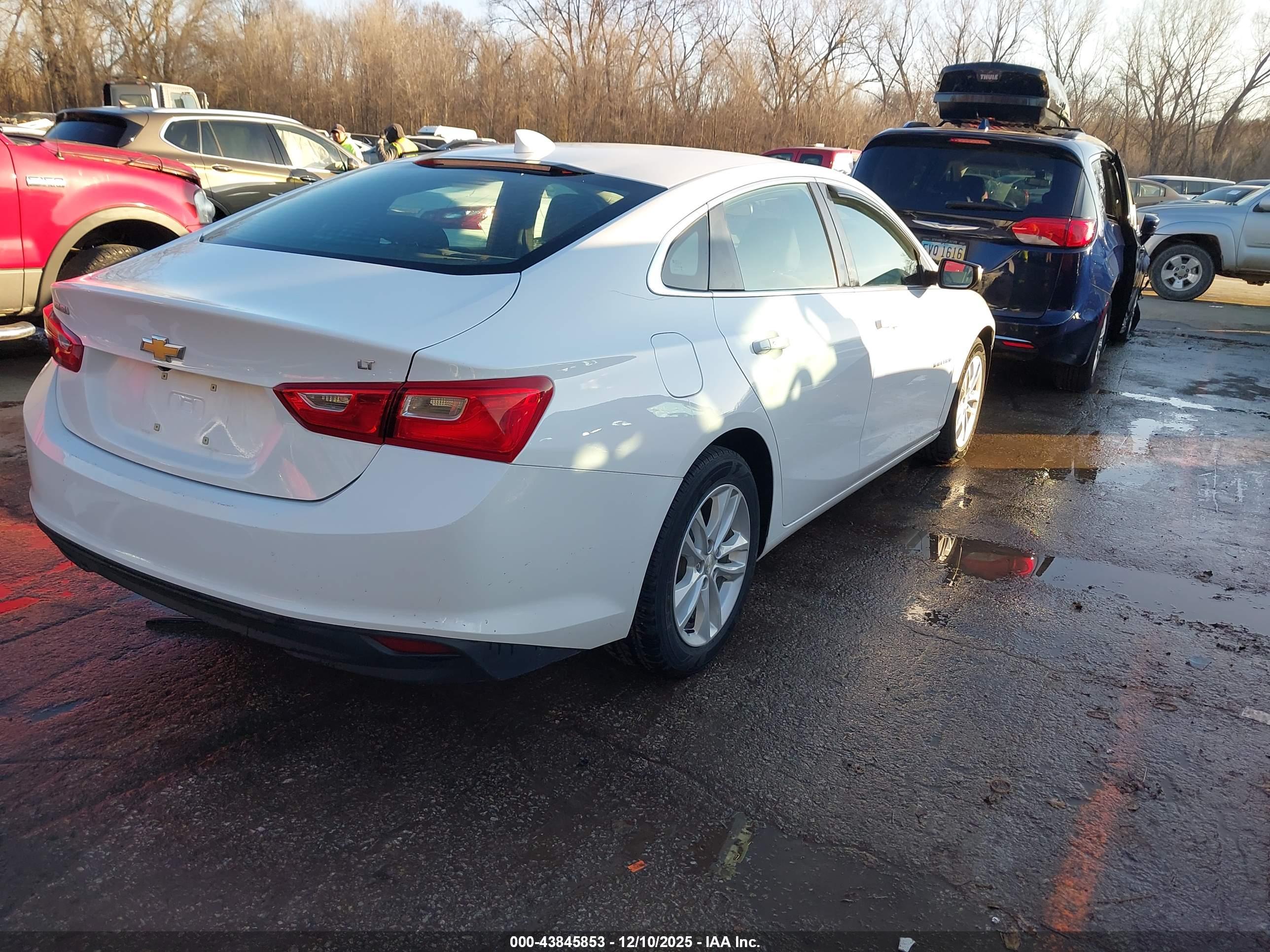 CHEVROLET MALIBU image 4