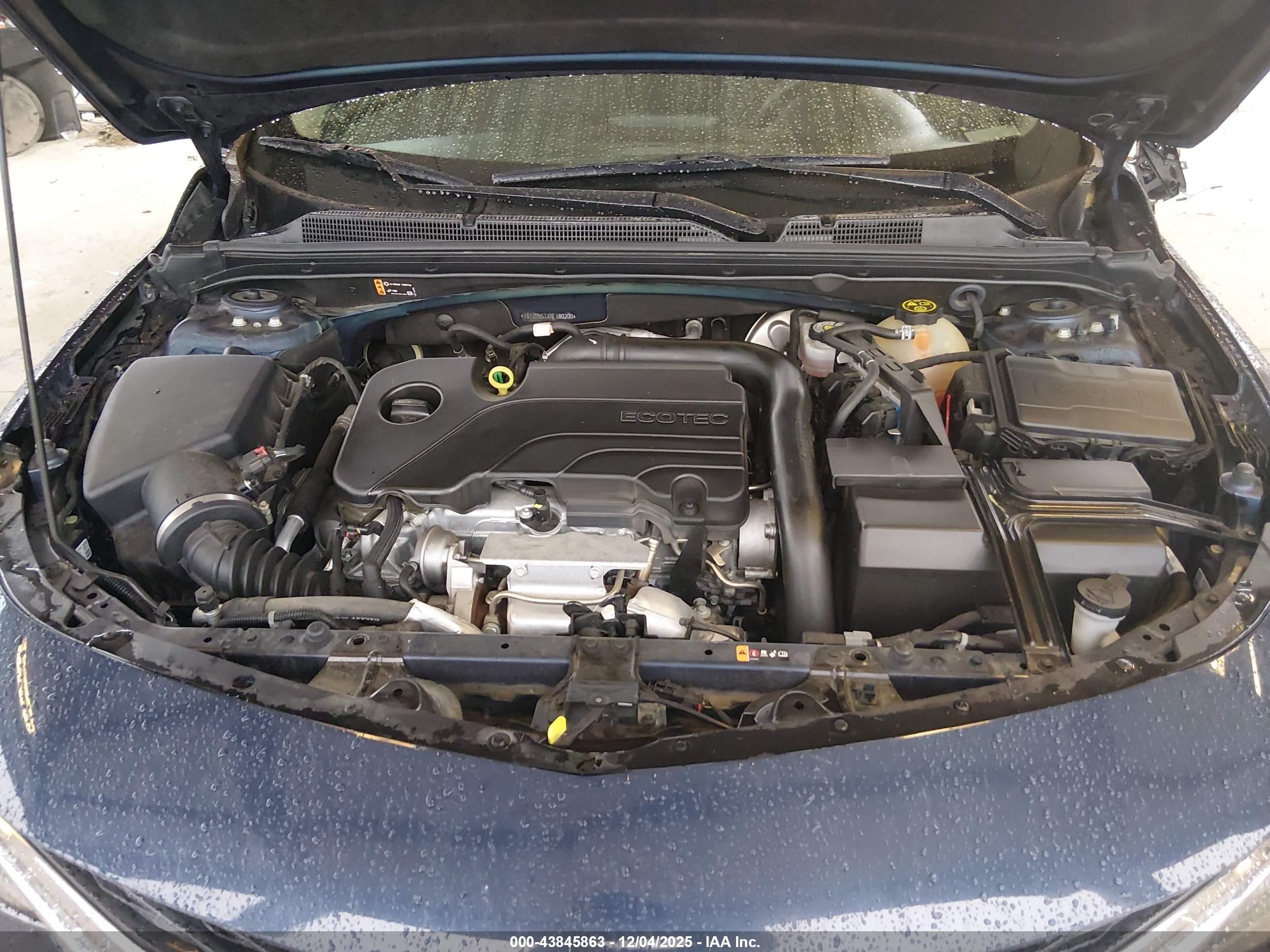 CHEVROLET MALIBU image 10
