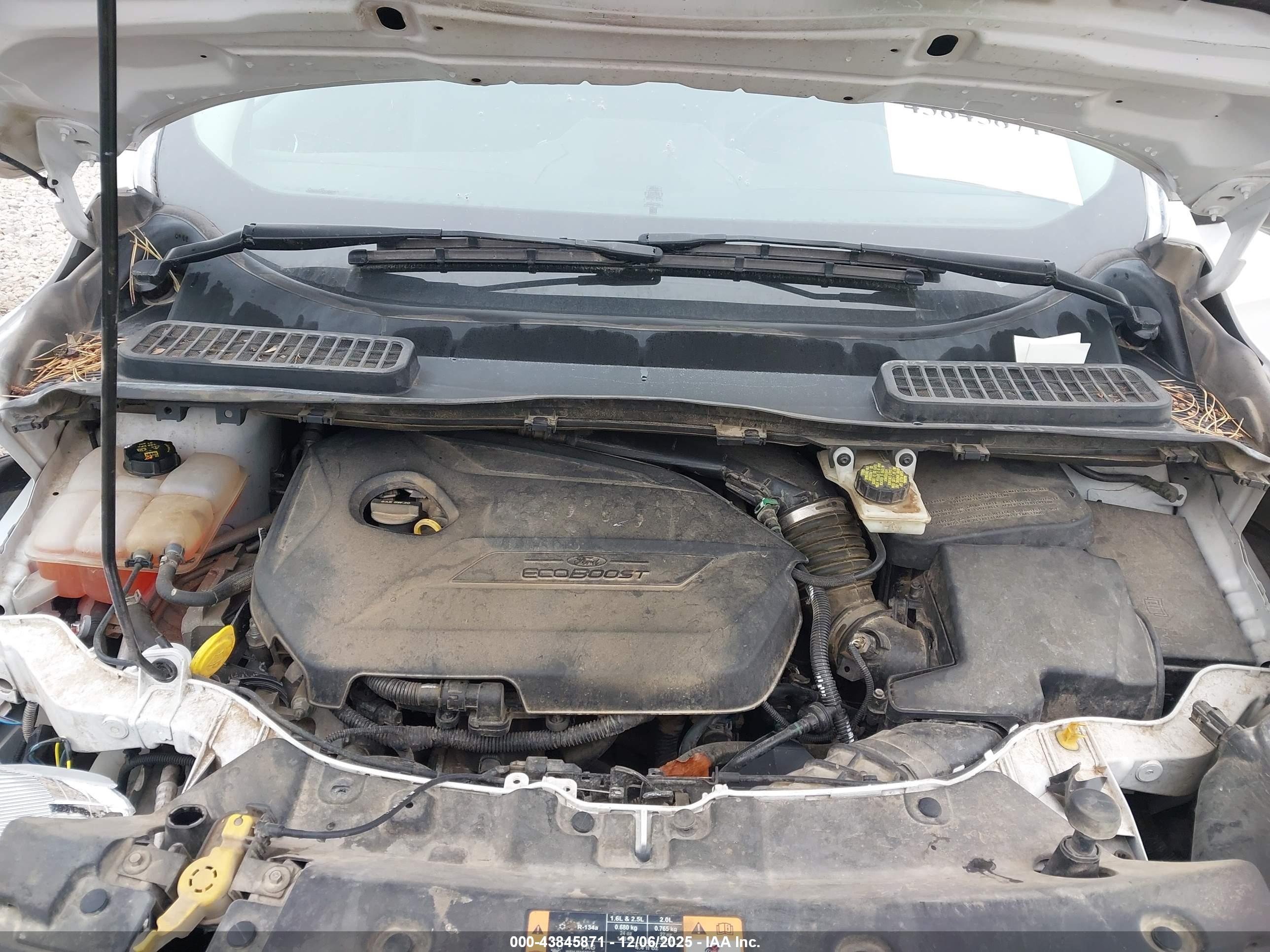 FORD ESCAPE image 10