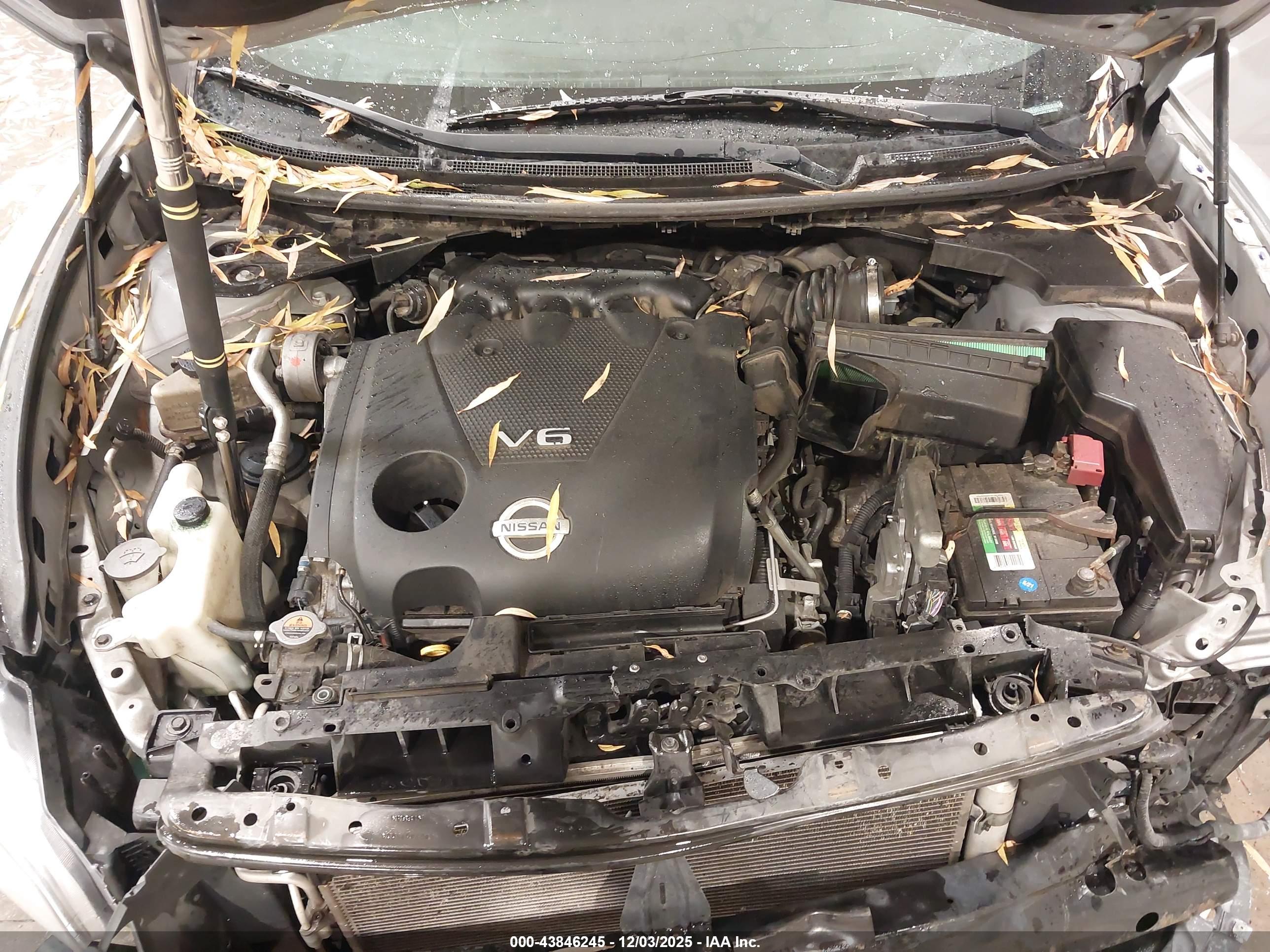 NISSAN MAXIMA image 10