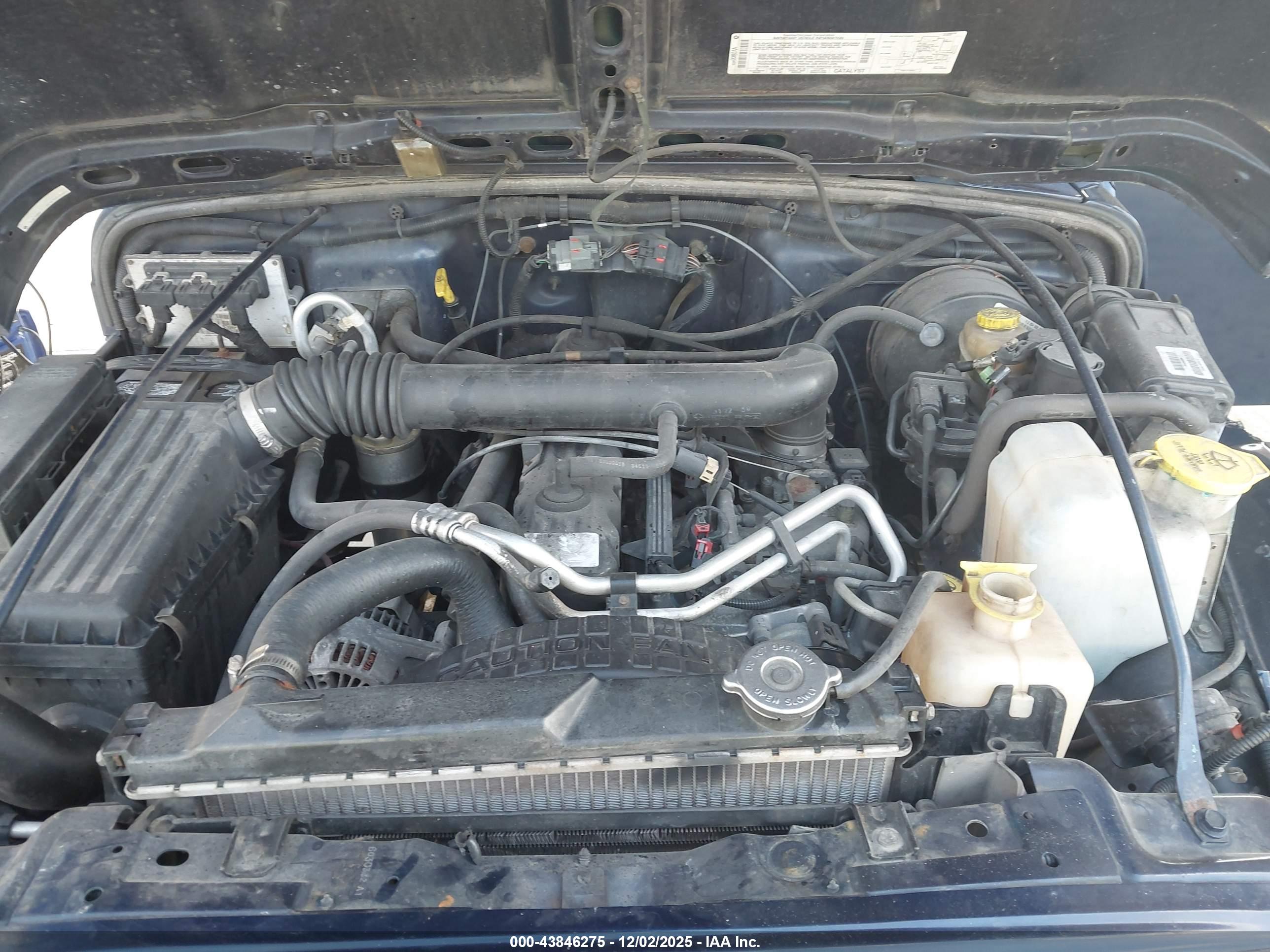 JEEP WRANGLER image 10