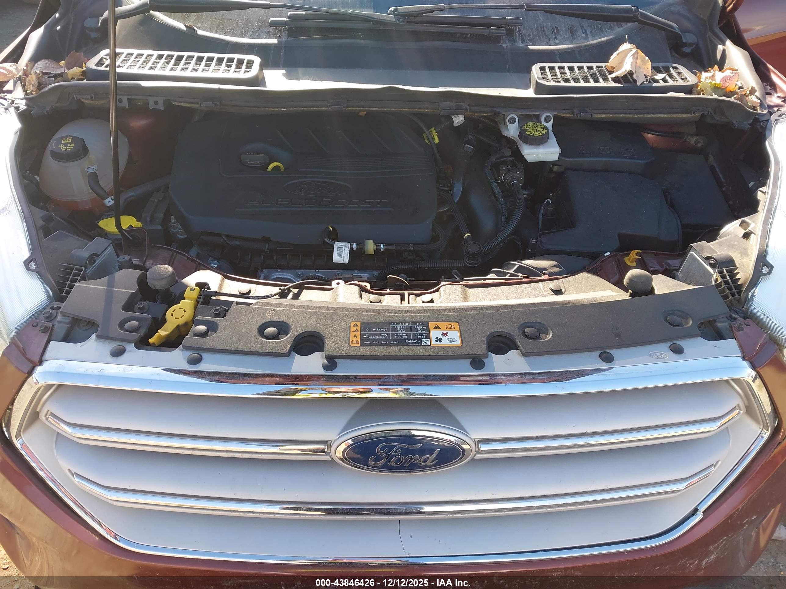 FORD ESCAPE image 10