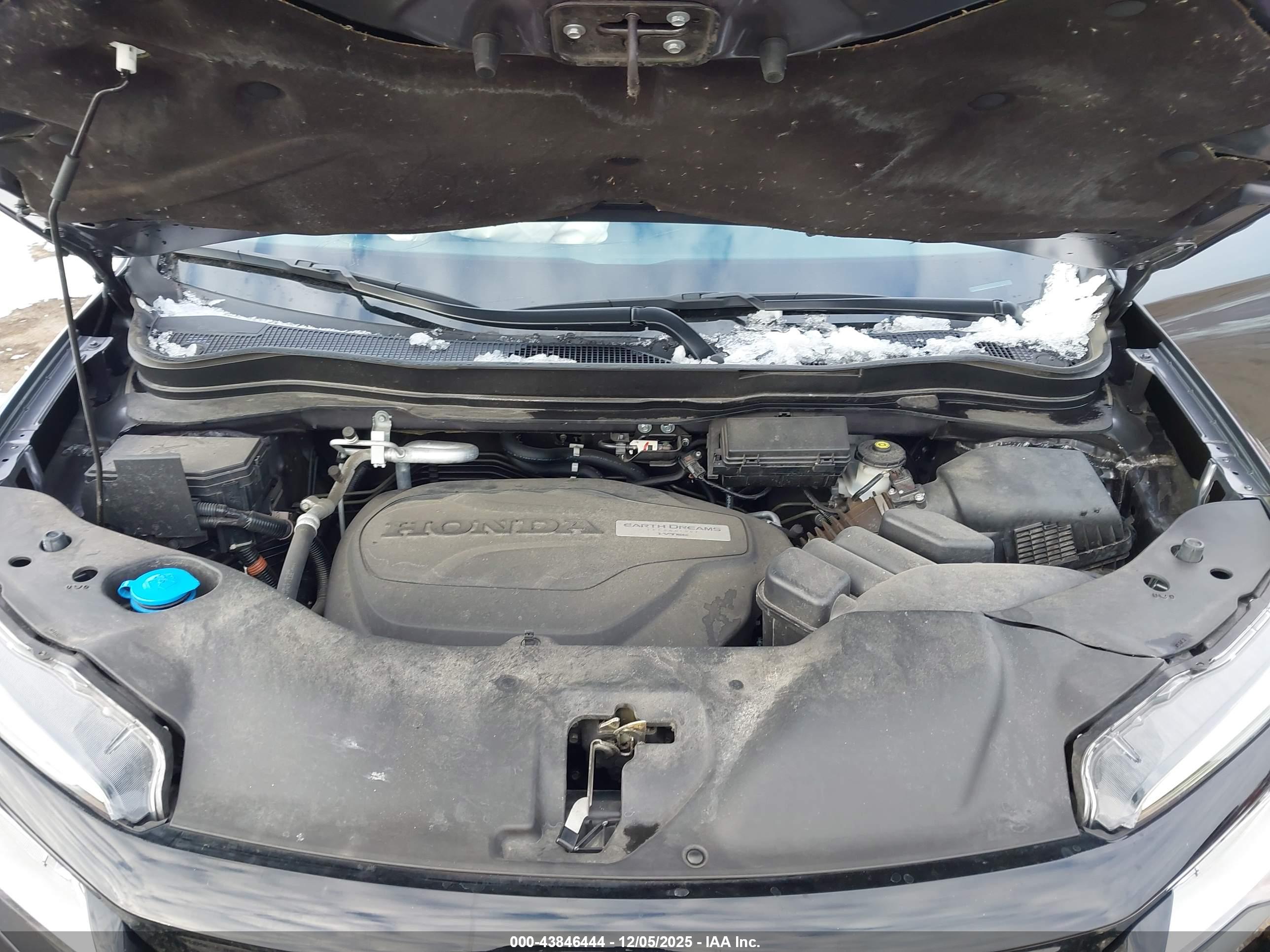 HONDA PASSPORT image 10