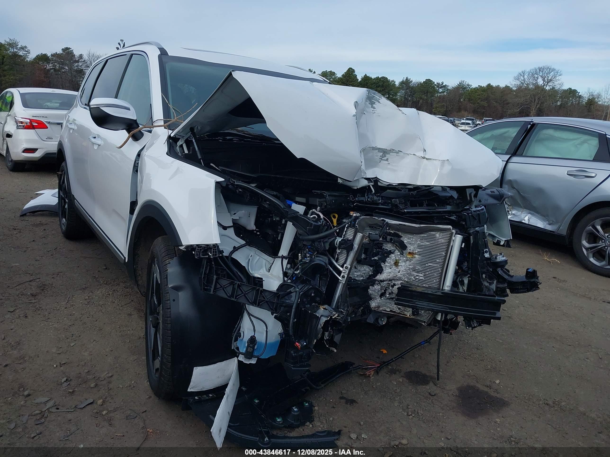KIA TELLURIDE image 6