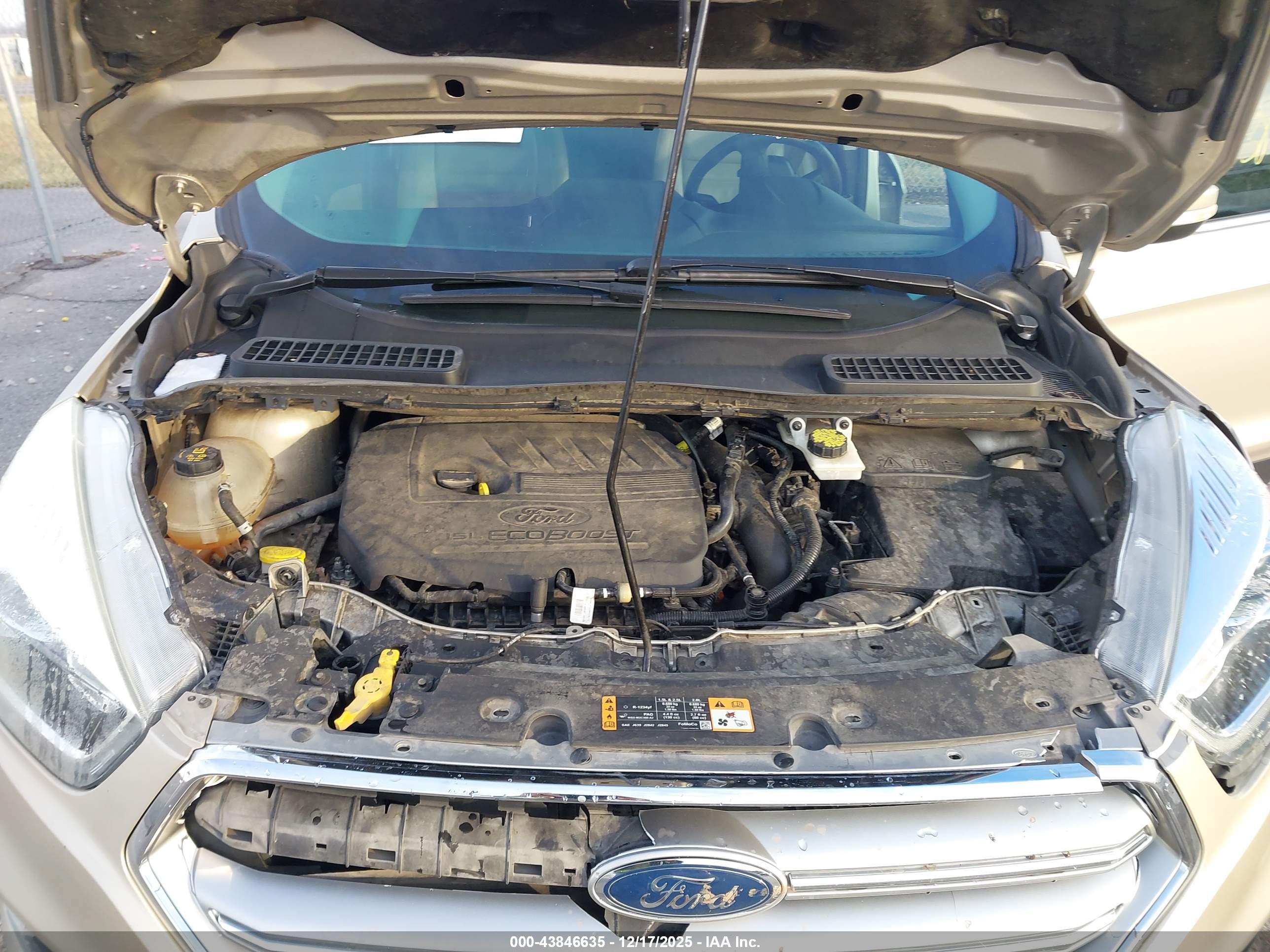 FORD ESCAPE image 10