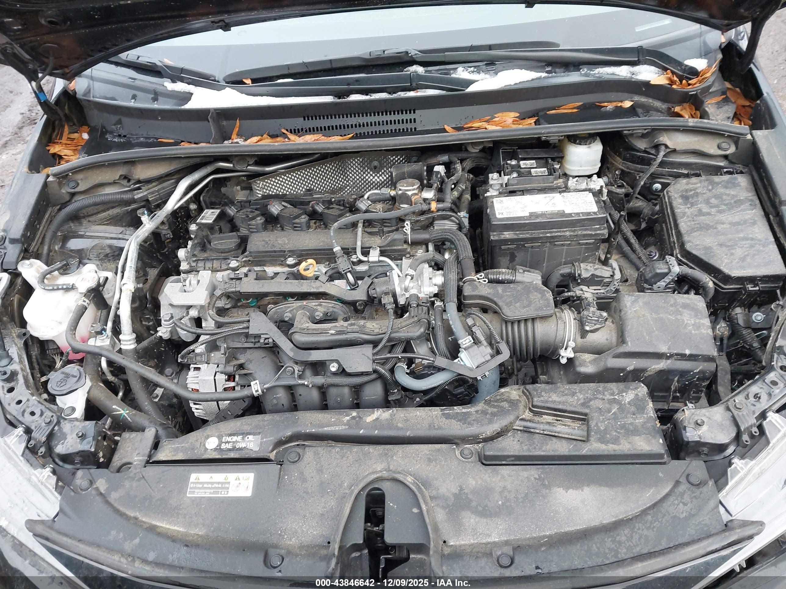 TOYOTA COROLLA image 10
