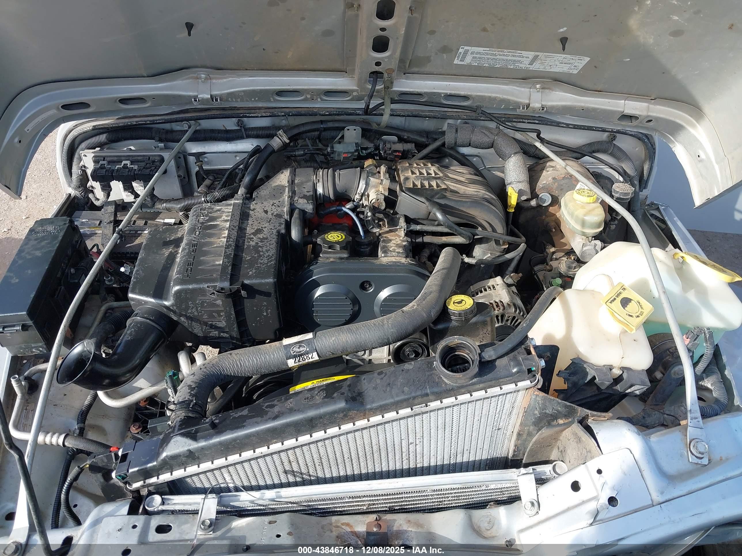 JEEP WRANGLER image 10