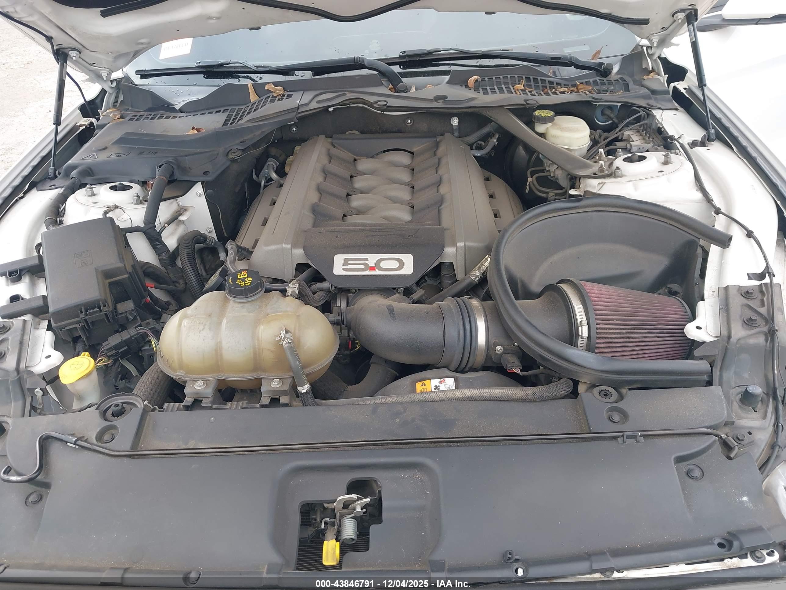 FORD MUSTANG image 10