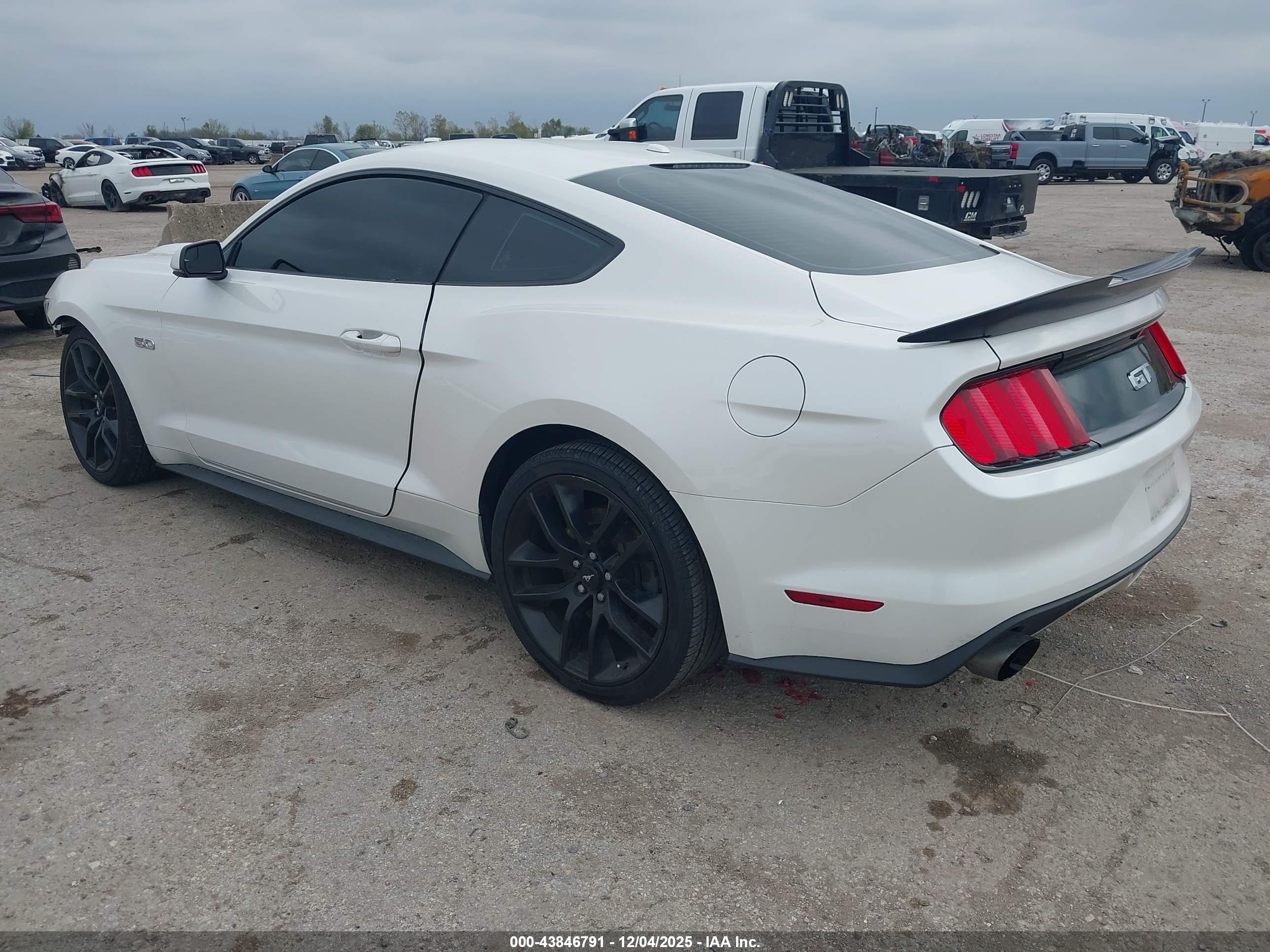 FORD MUSTANG image 3
