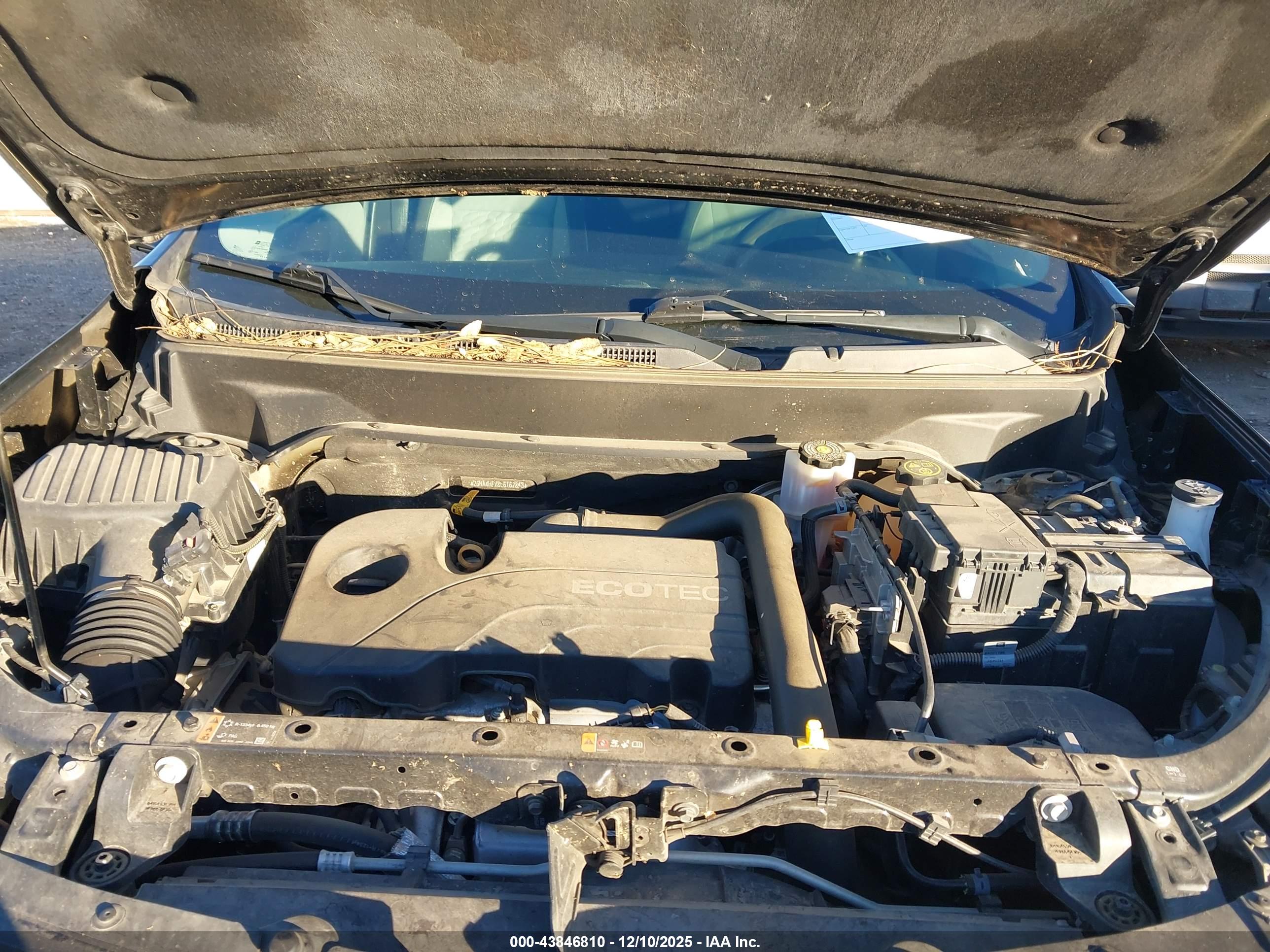 CHEVROLET EQUINOX image 10