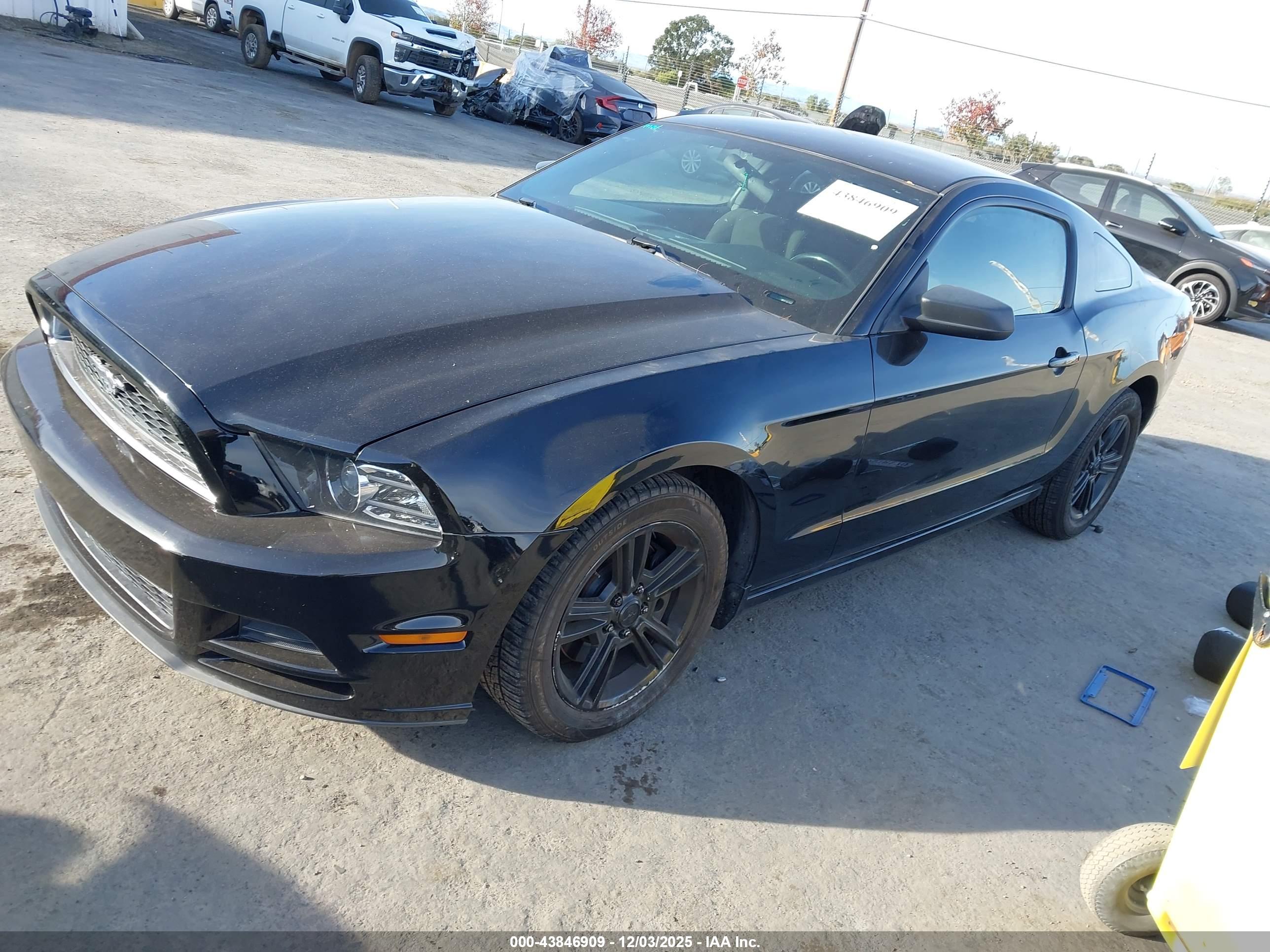 FORD MUSTANG image 2