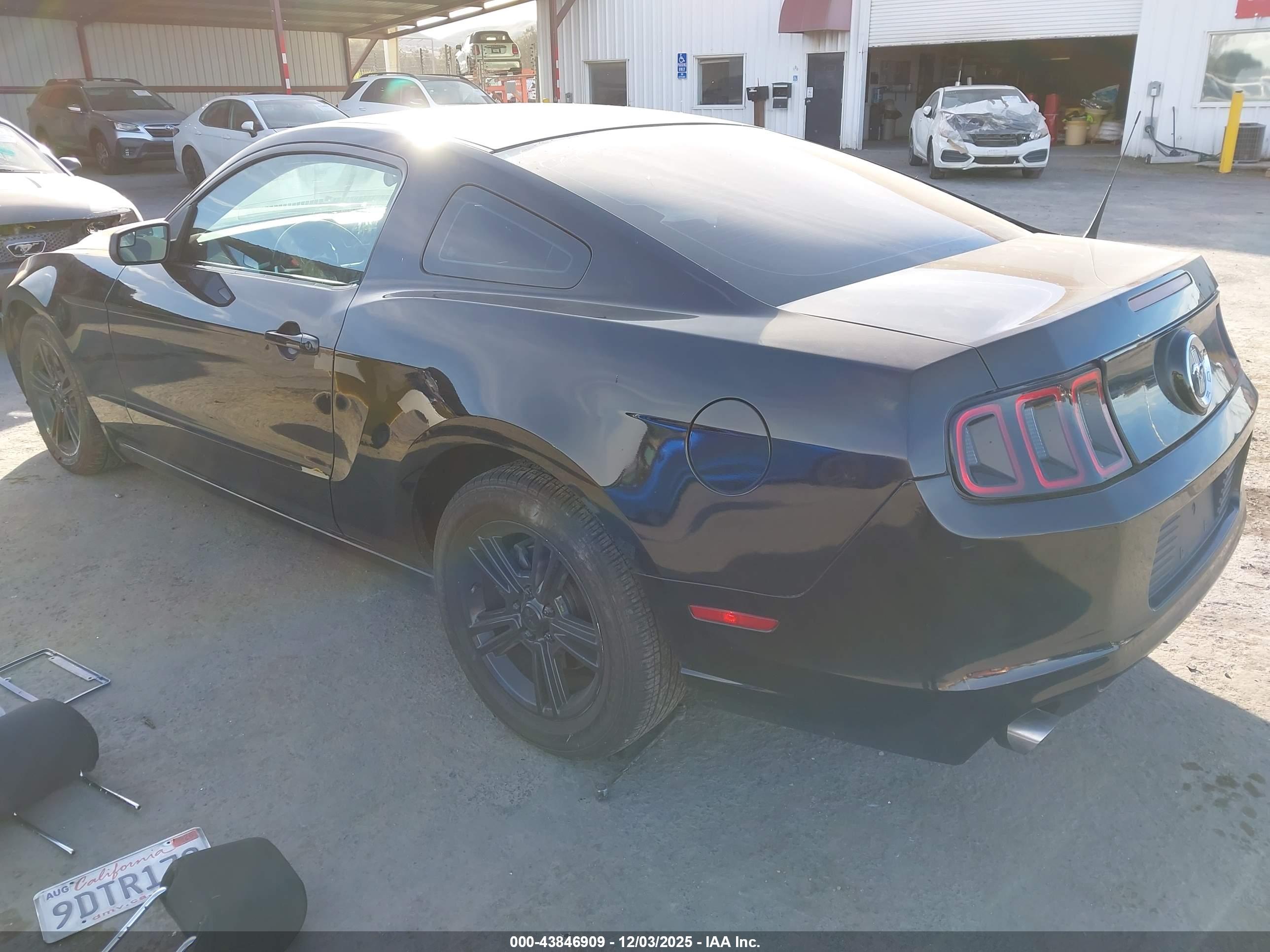 FORD MUSTANG image 3