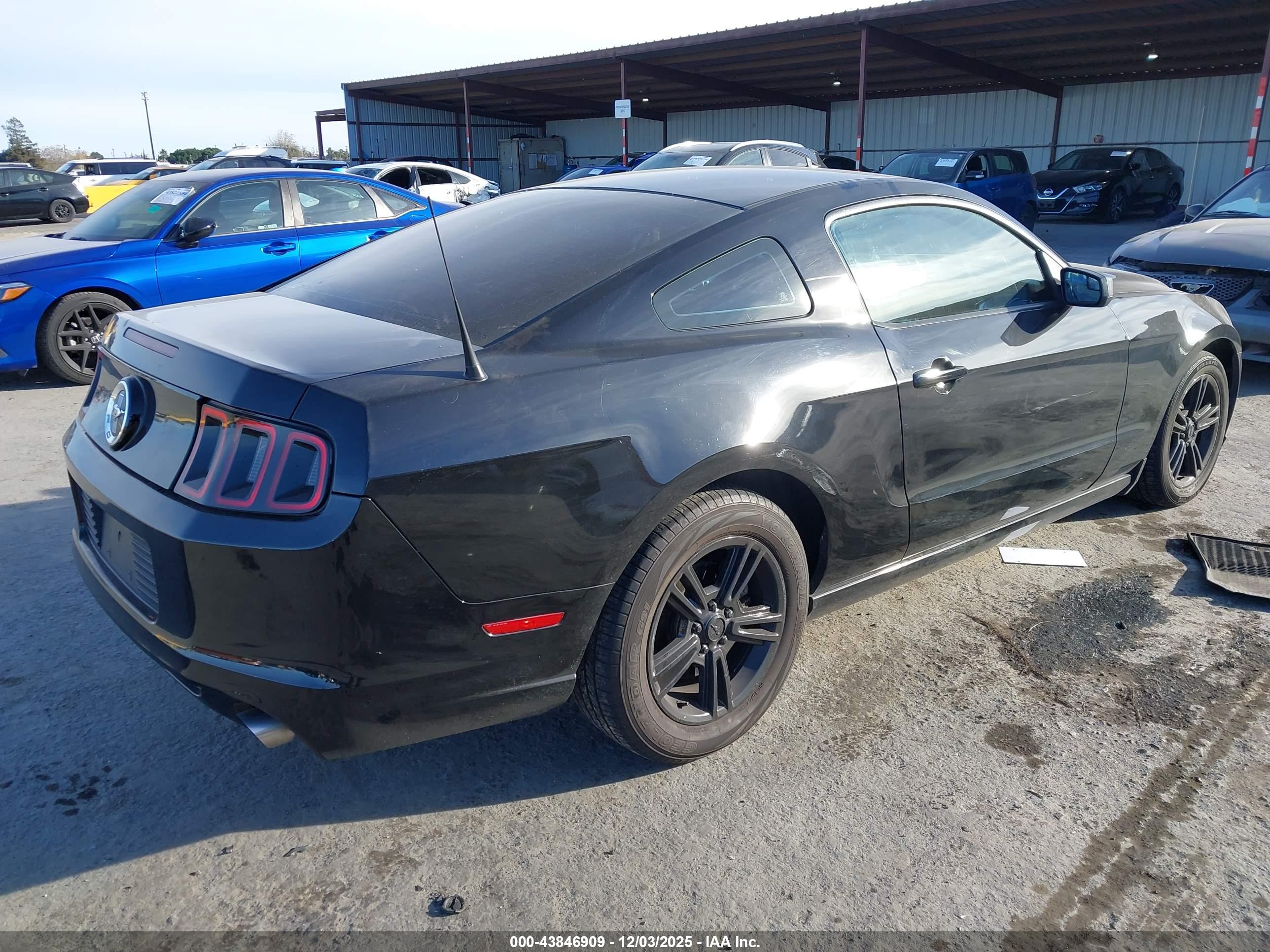 FORD MUSTANG image 4