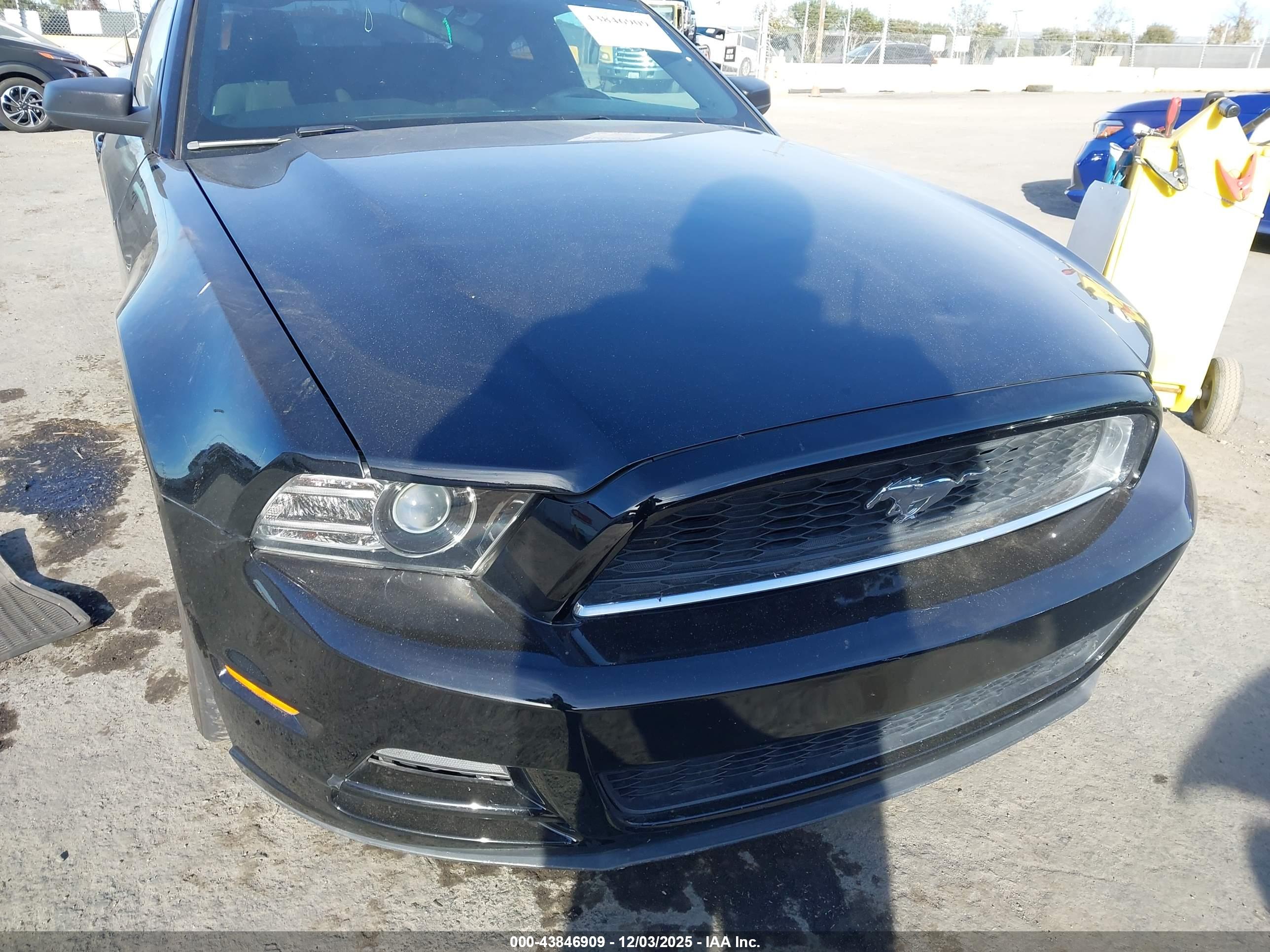 FORD MUSTANG image 6