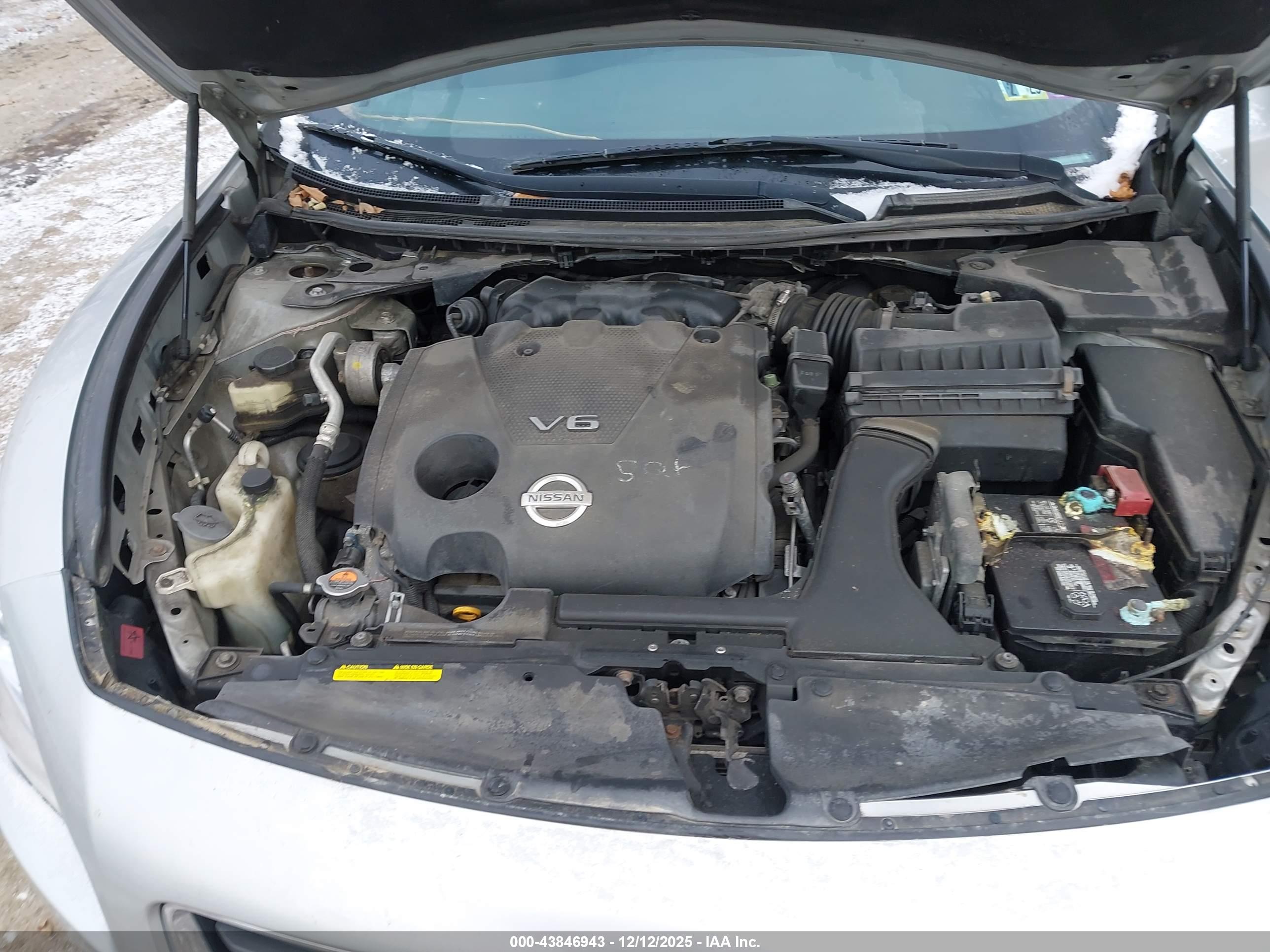 NISSAN MAXIMA image 10