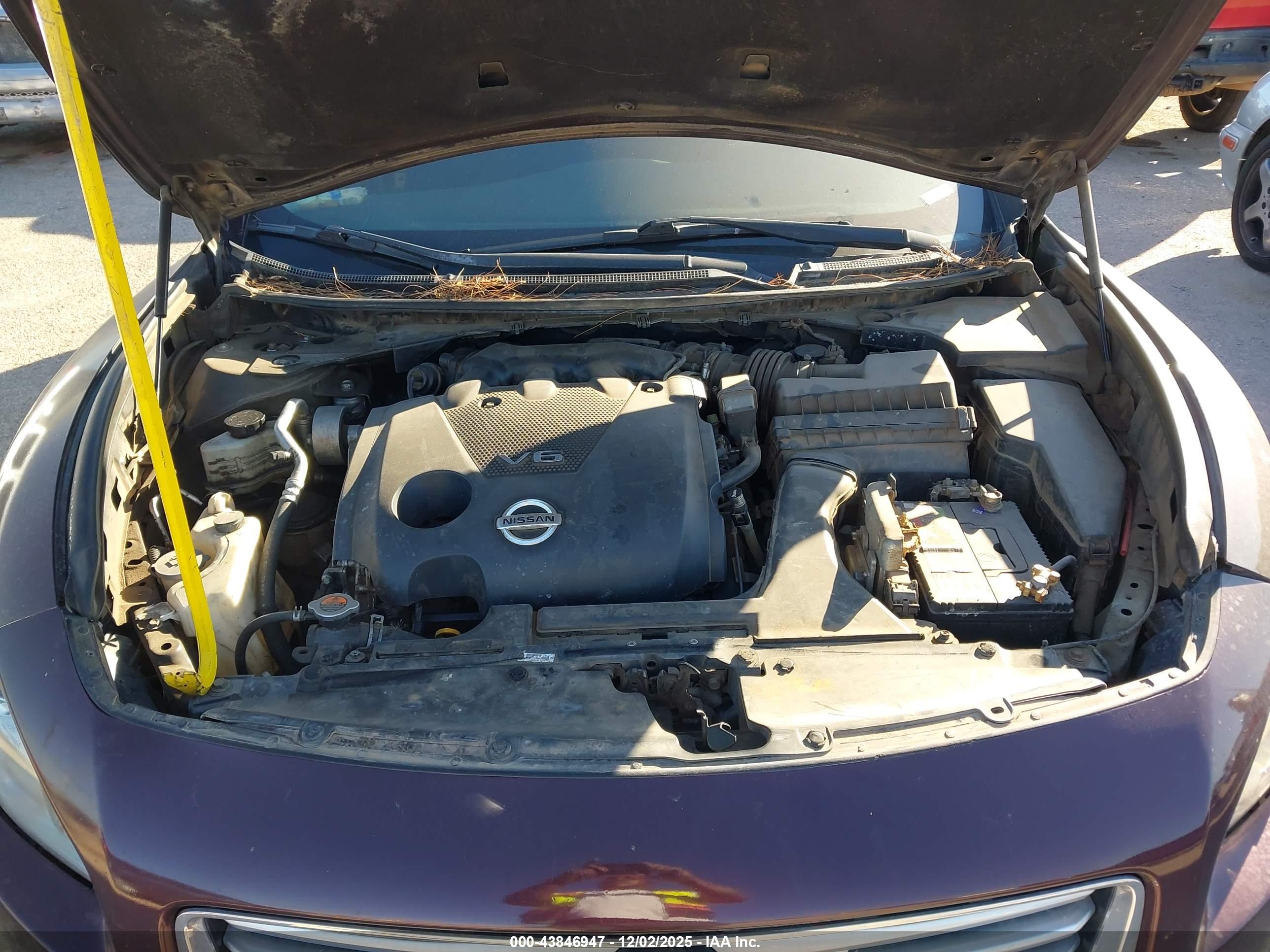 NISSAN MAXIMA image 10