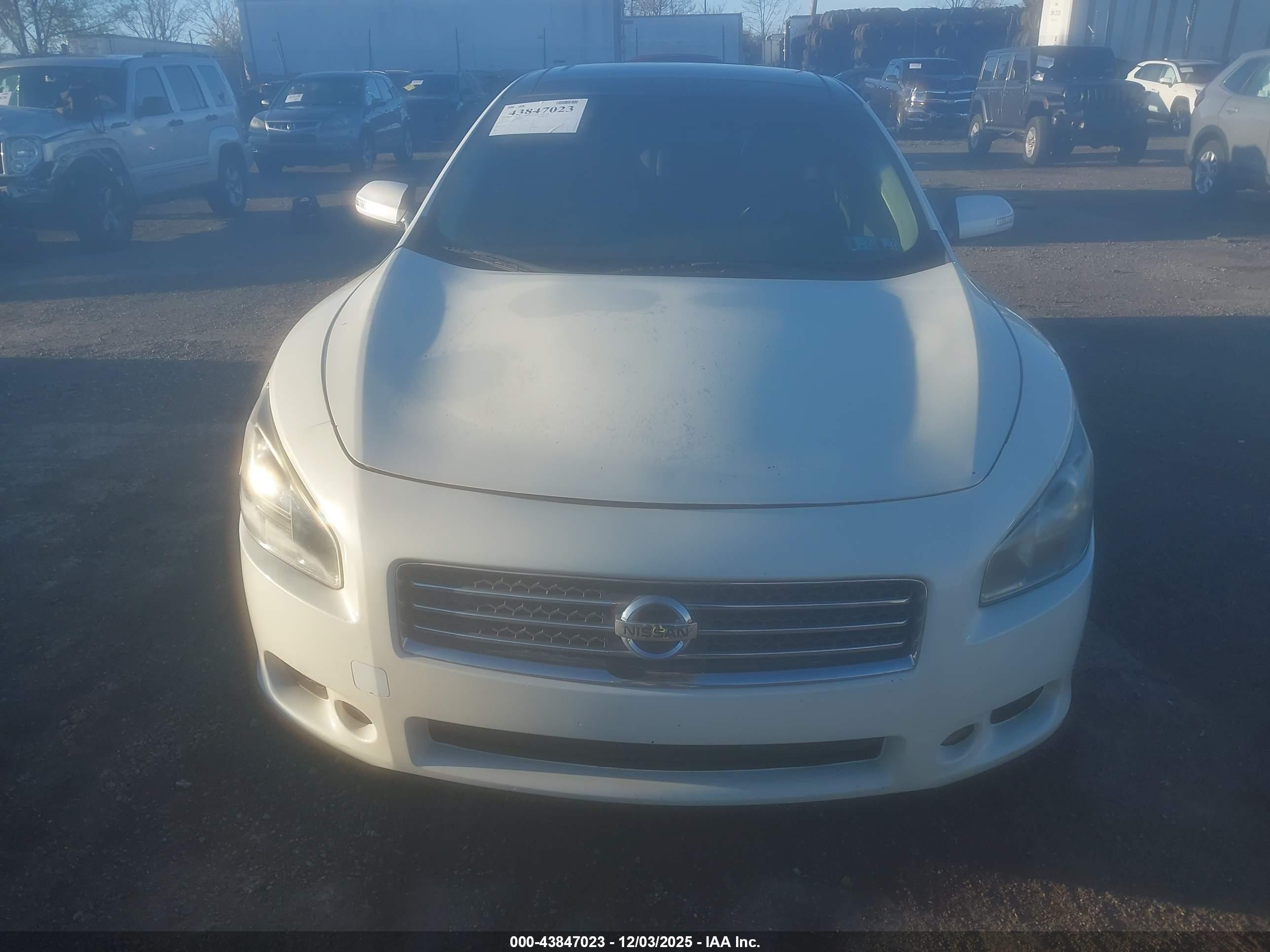 NISSAN MAXIMA image 6