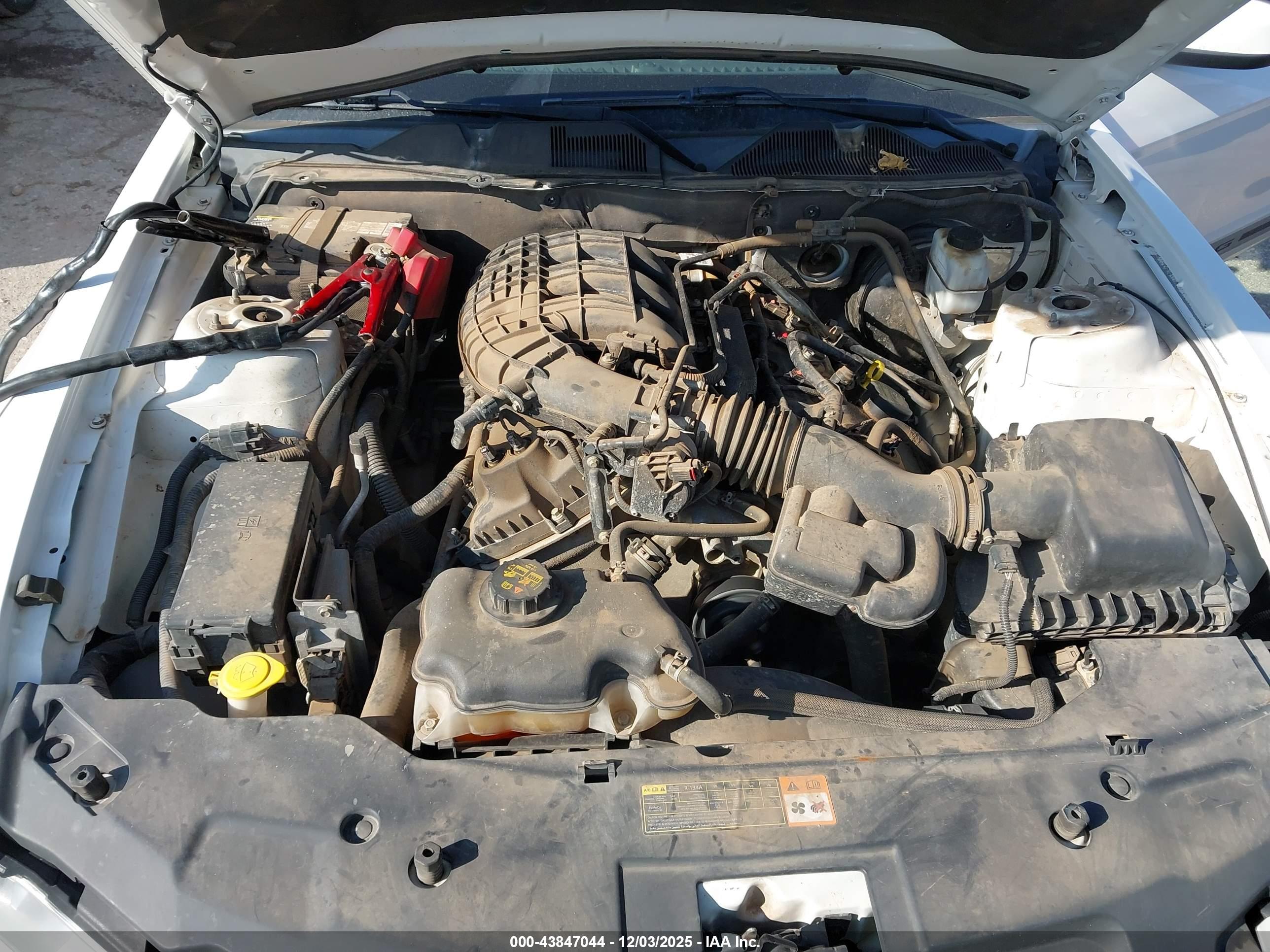 FORD MUSTANG image 10
