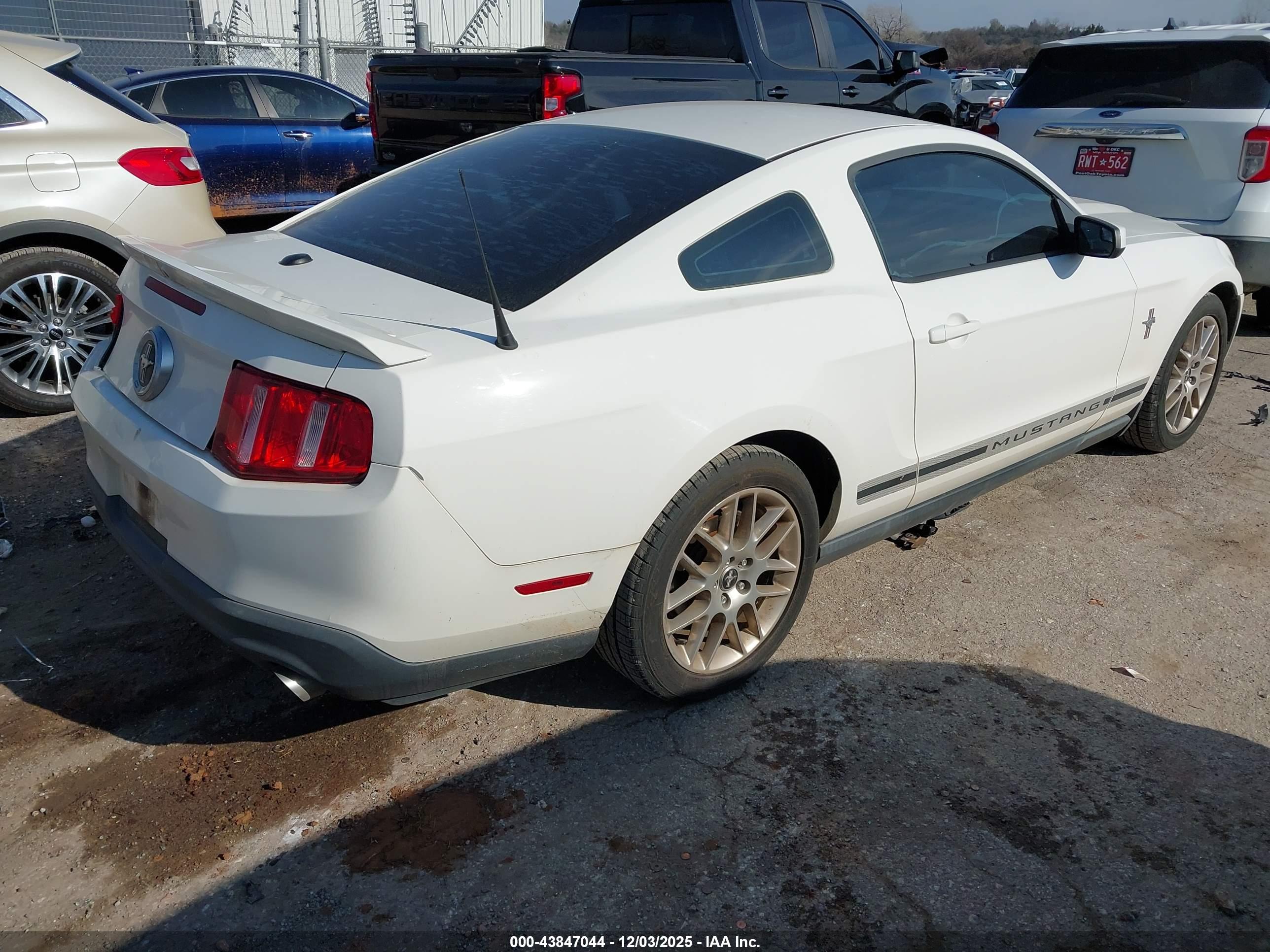 FORD MUSTANG image 4