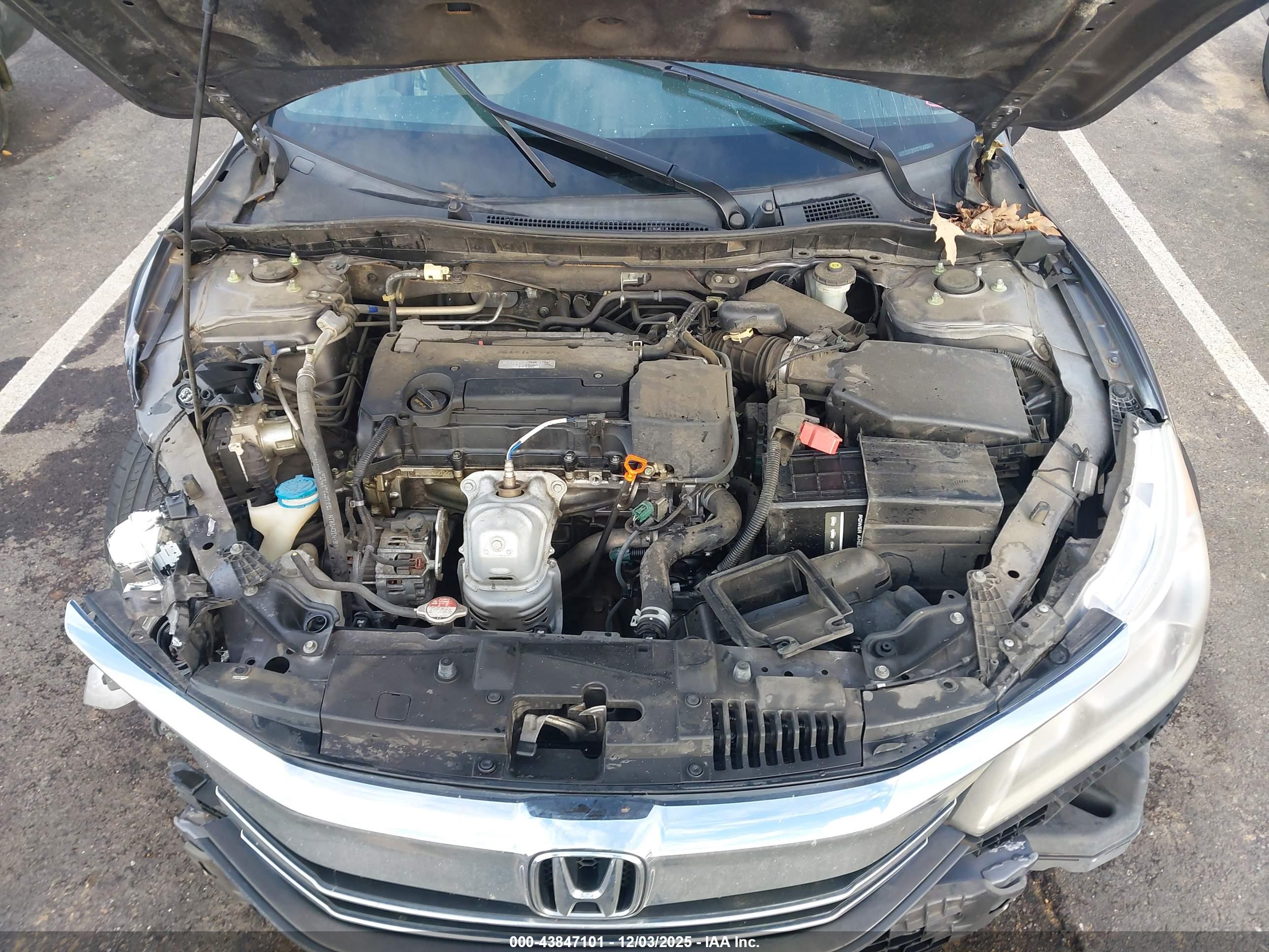 HONDA ACCORD image 10