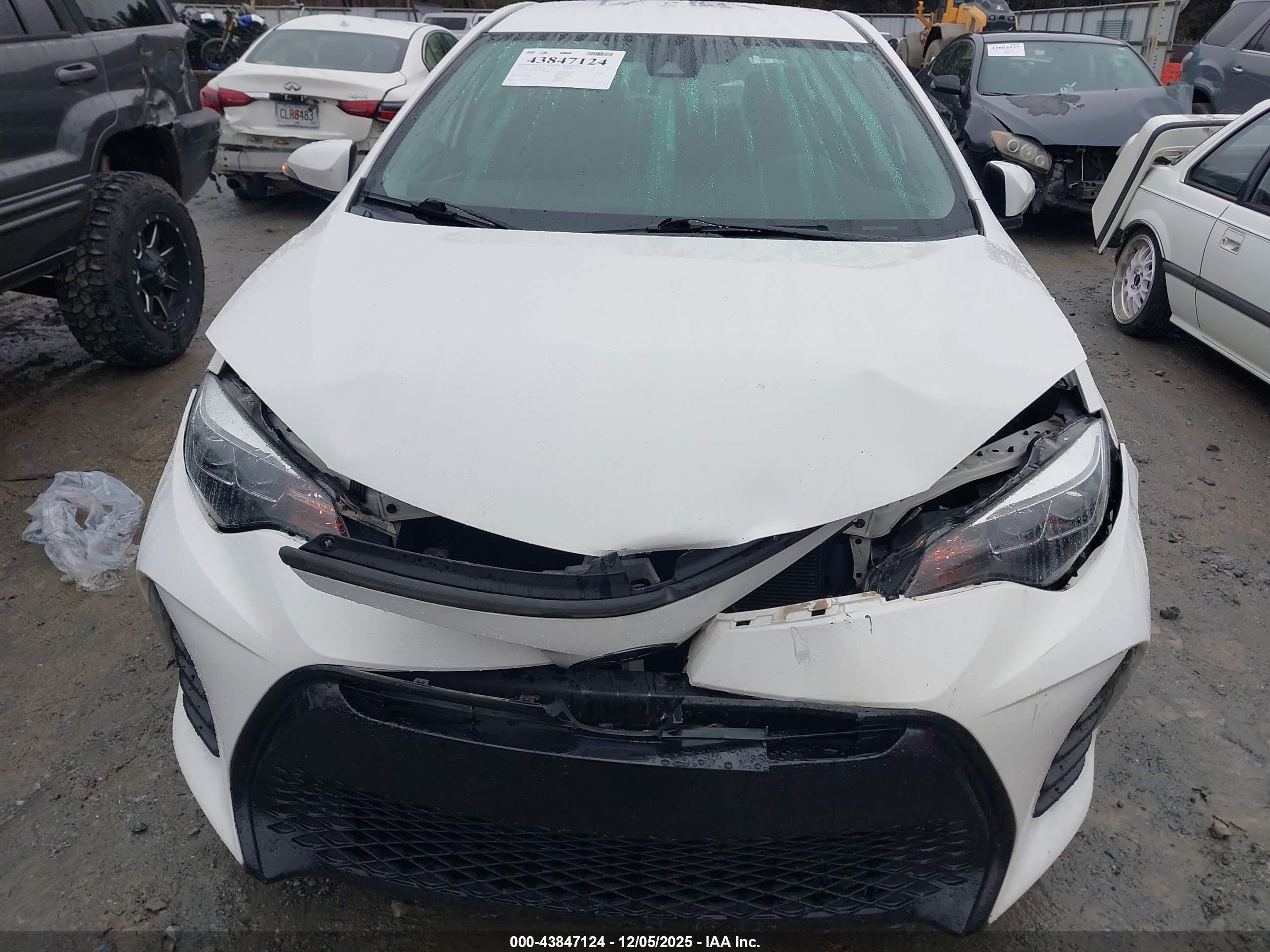 TOYOTA COROLLA image 6