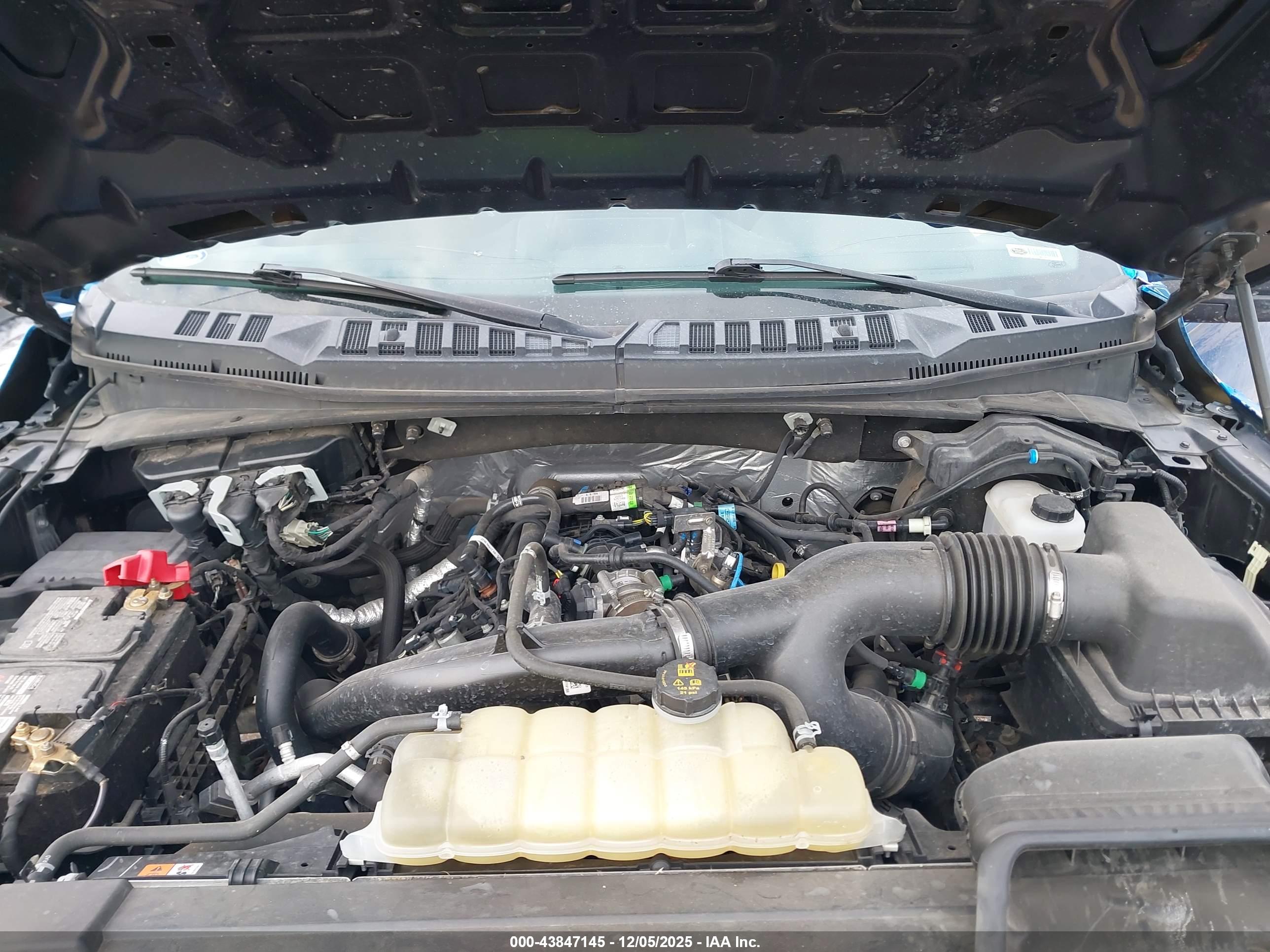 FORD F-150 image 10