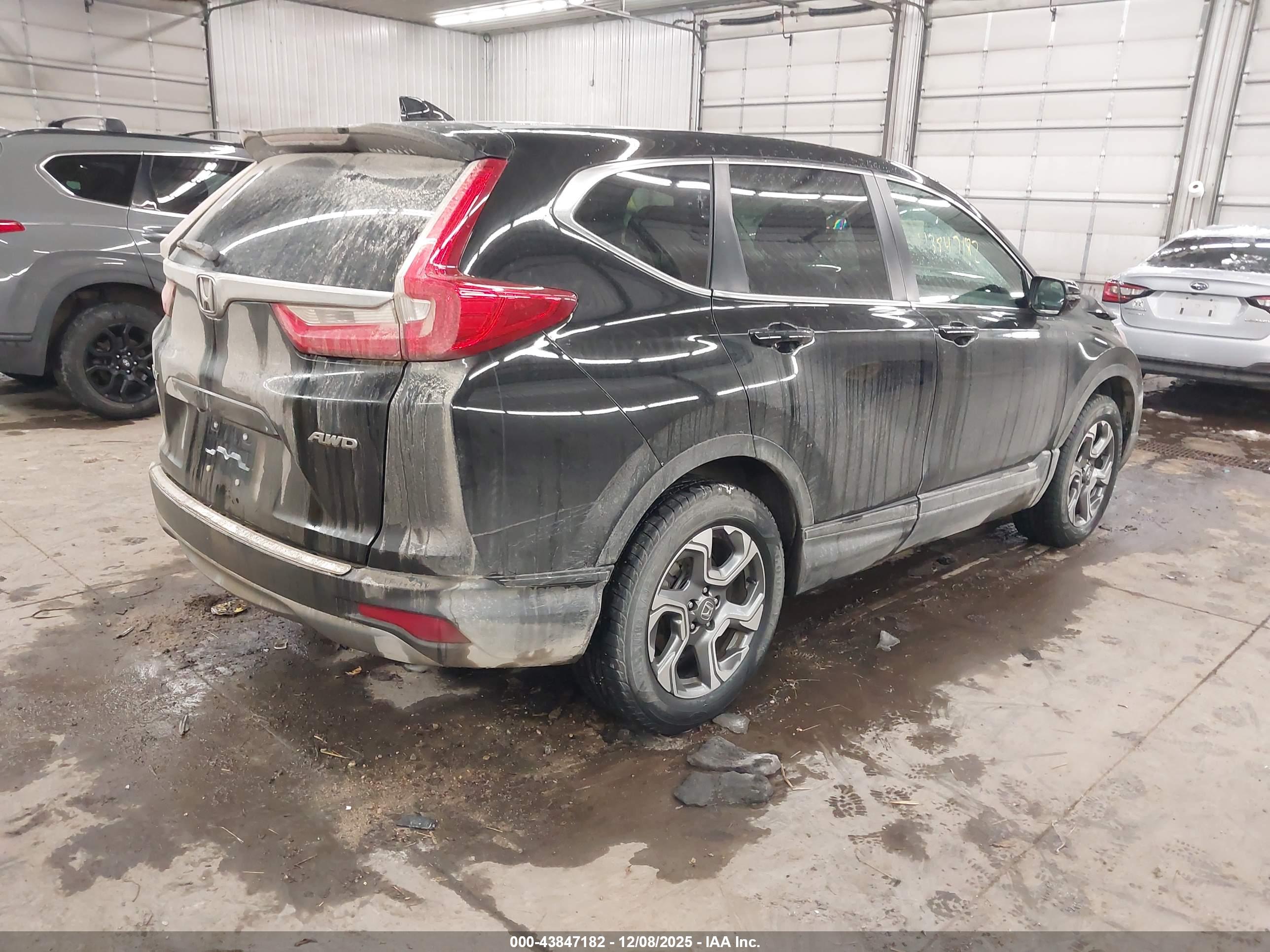 HONDA CR-V image 4