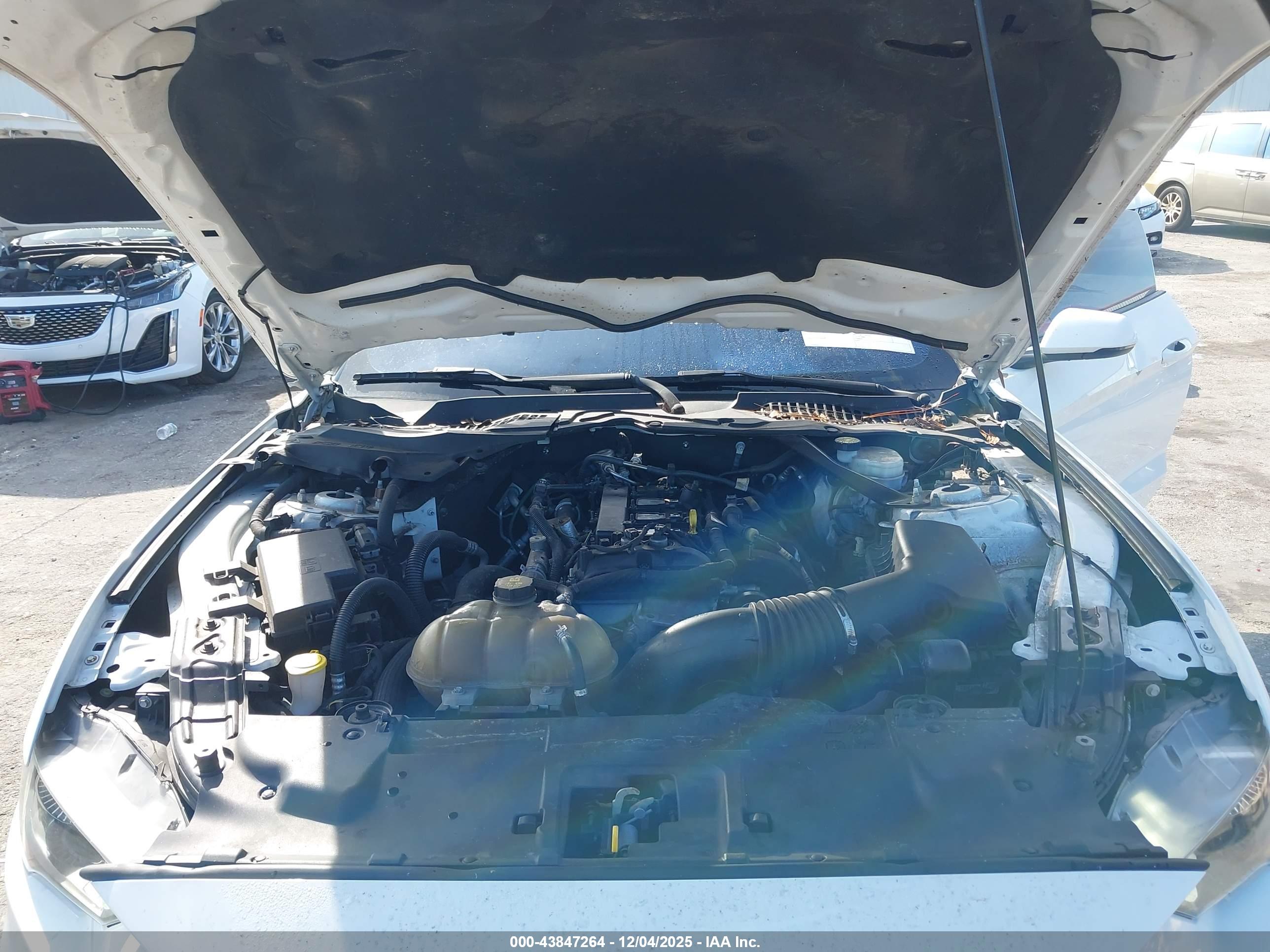 FORD MUSTANG image 10