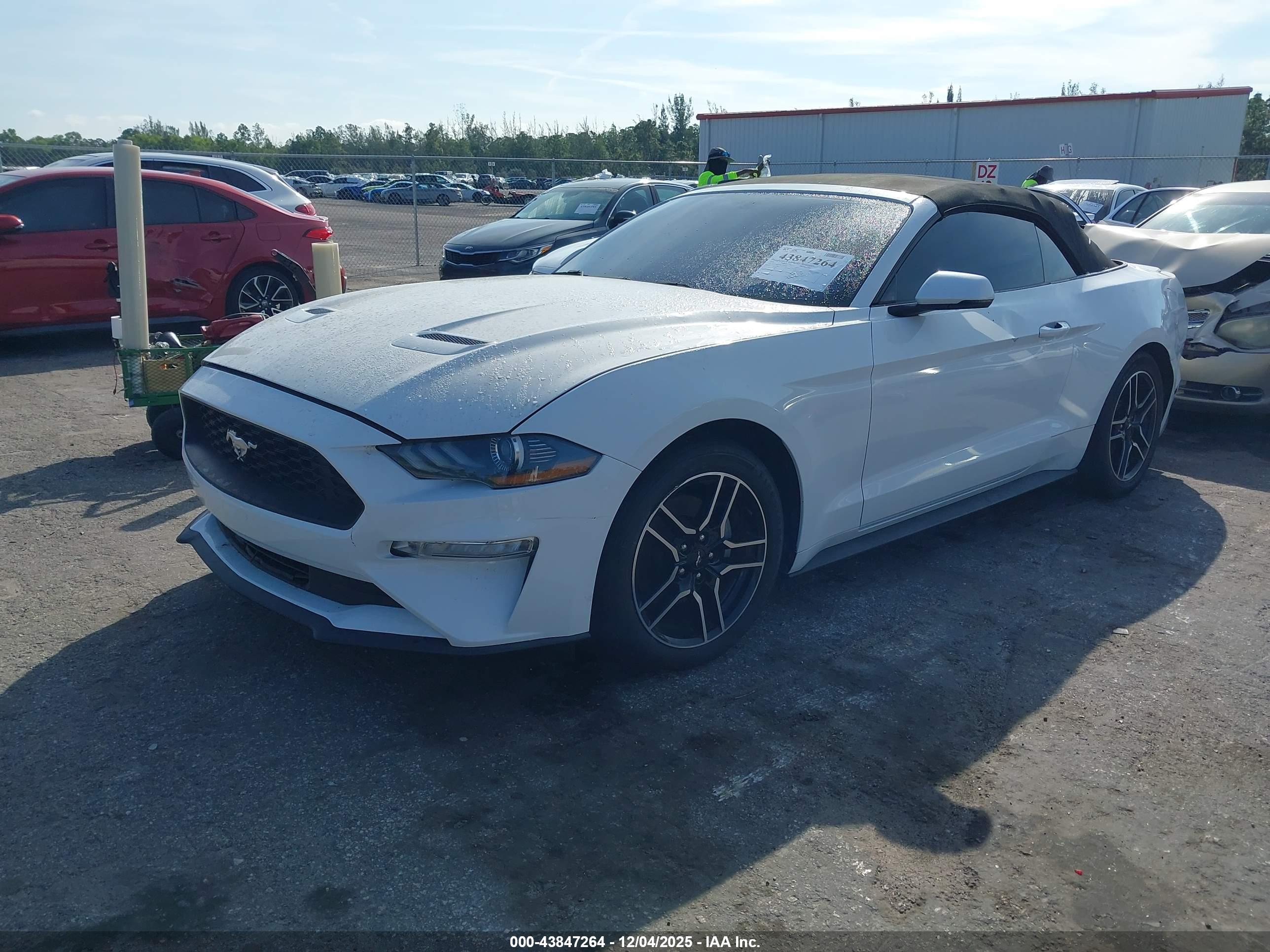 FORD MUSTANG image 2