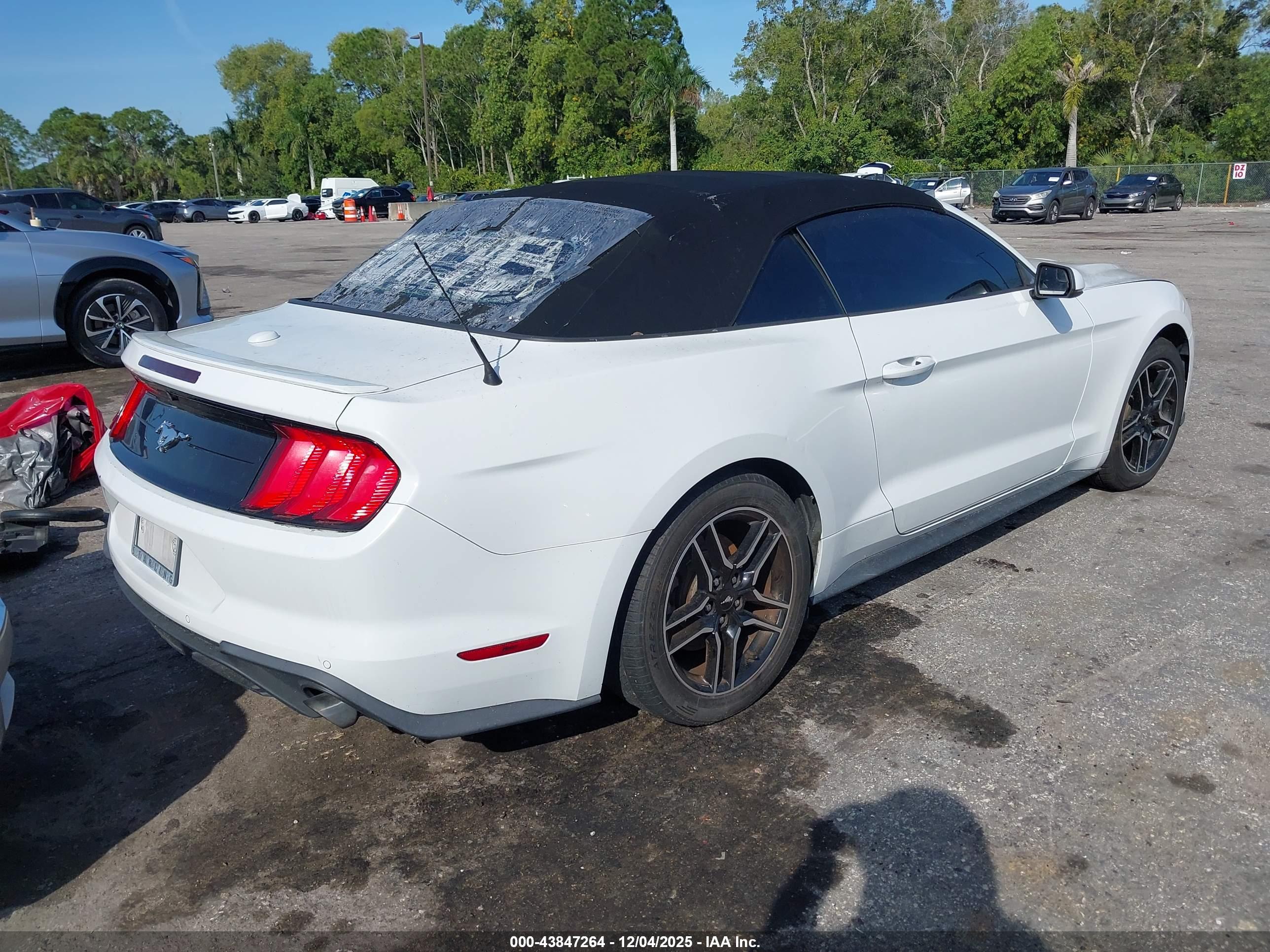 FORD MUSTANG image 4