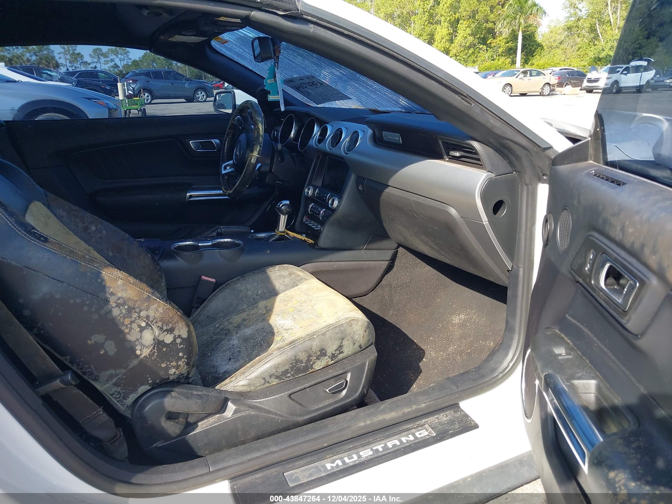 FORD MUSTANG image 5