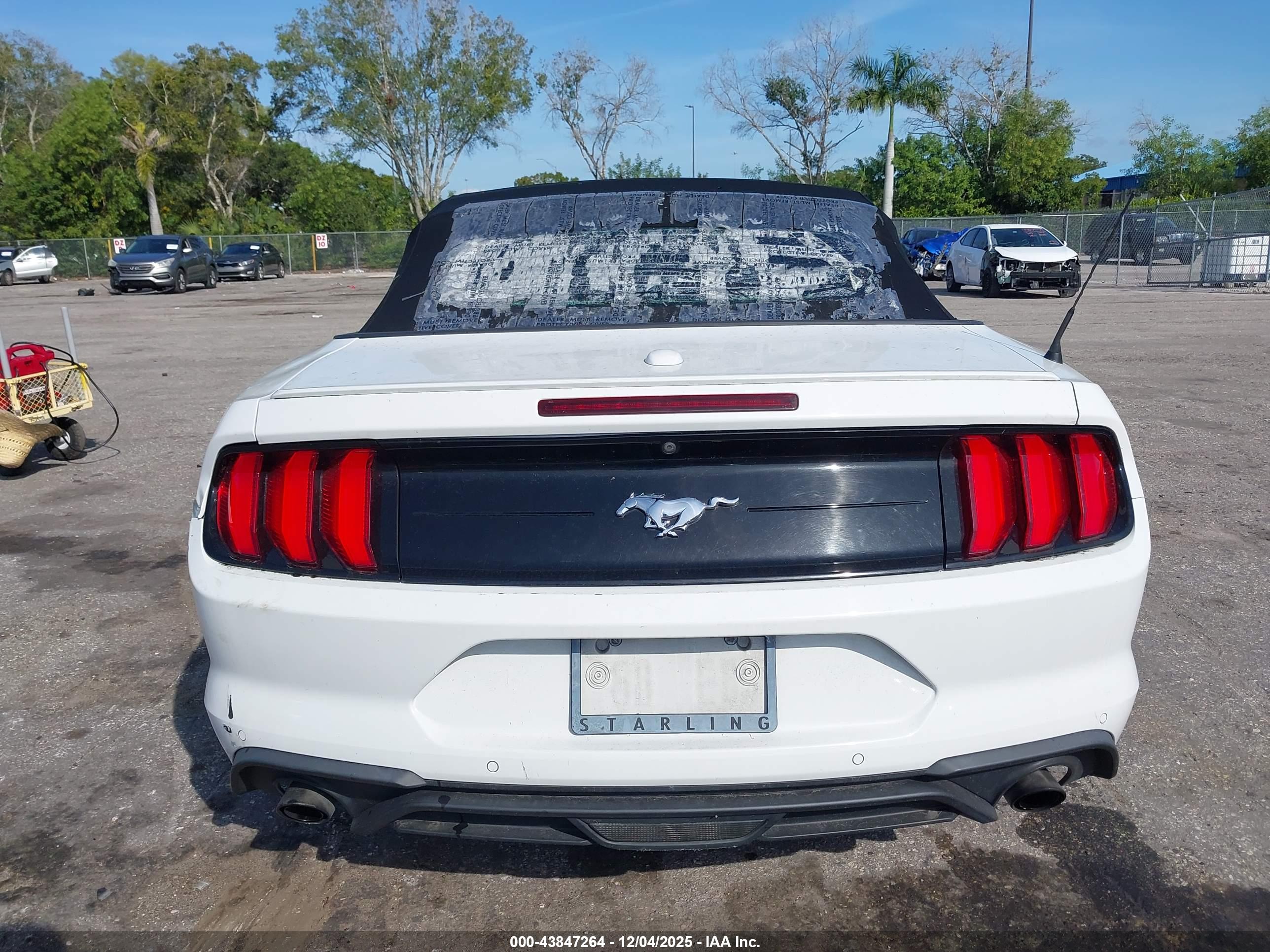 FORD MUSTANG image 6