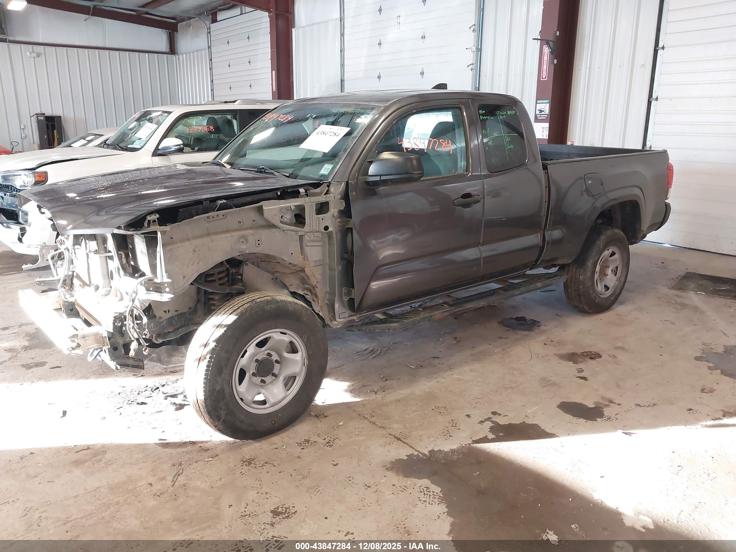 TOYOTA TACOMA image 2
