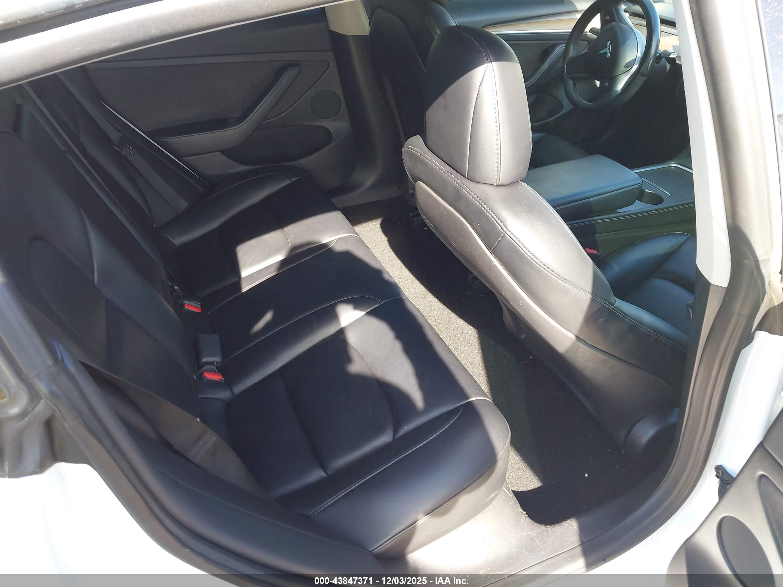 TESLA MODEL image 8