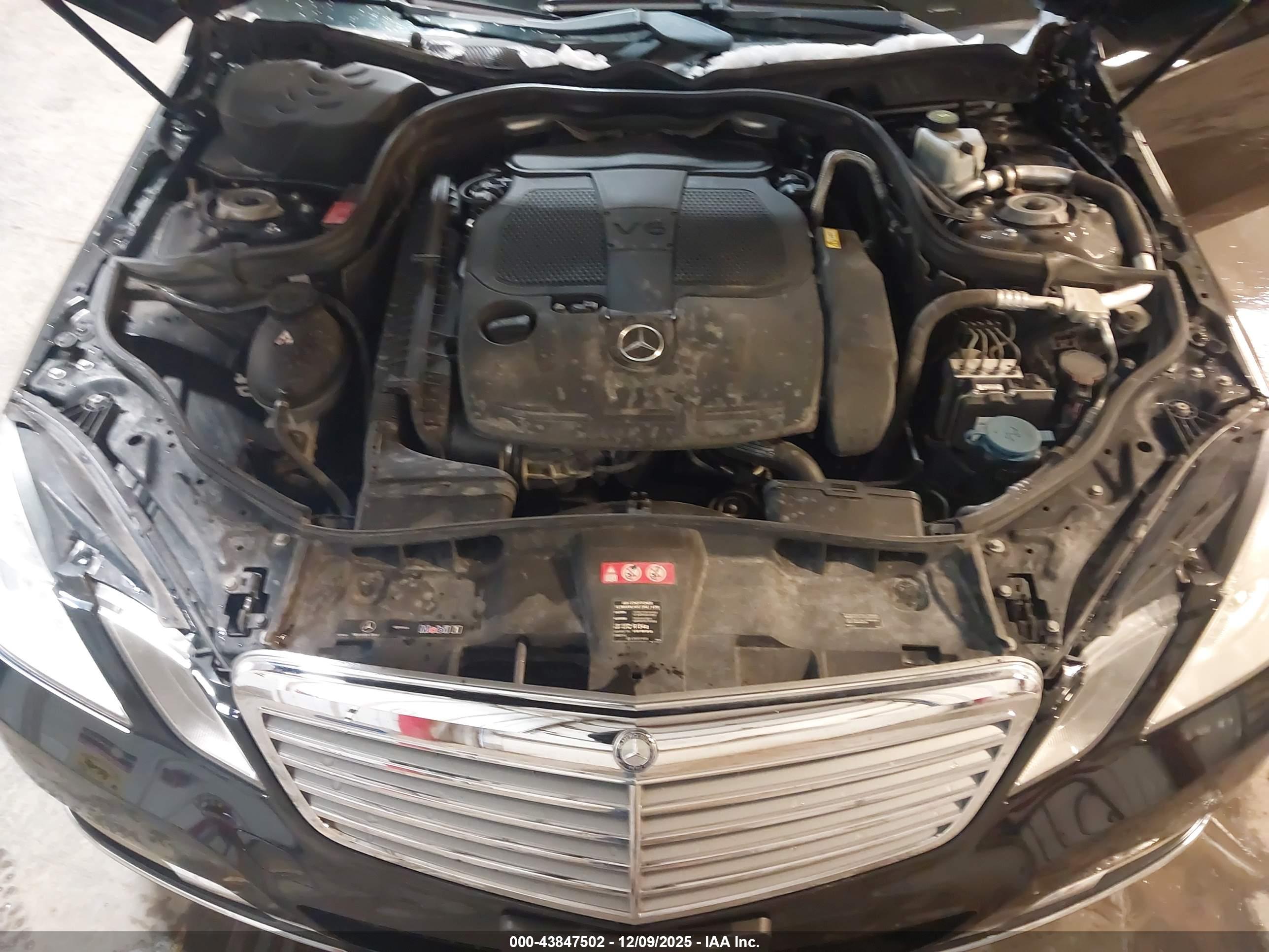 MERCEDES-BENZ E image 10