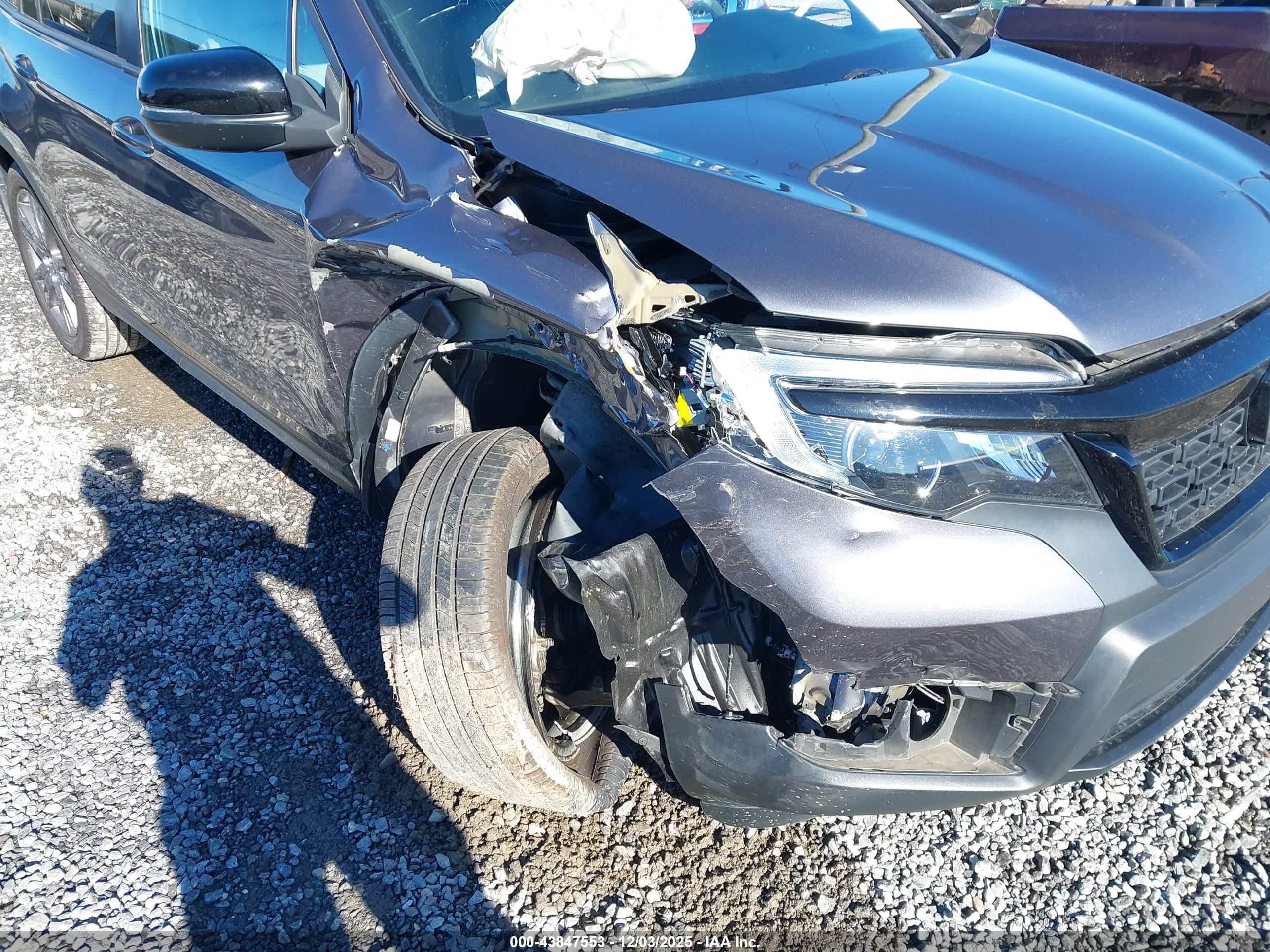 HONDA PASSPORT image 6
