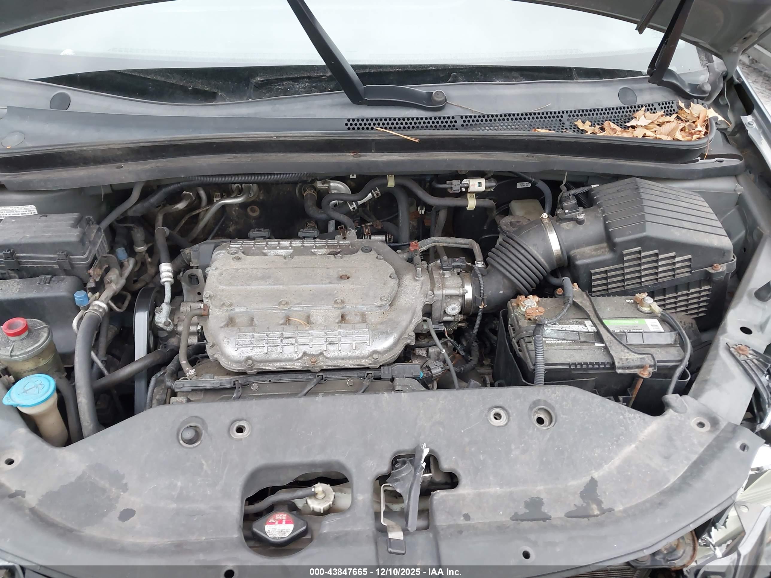 HONDA ODYSSEY image 10