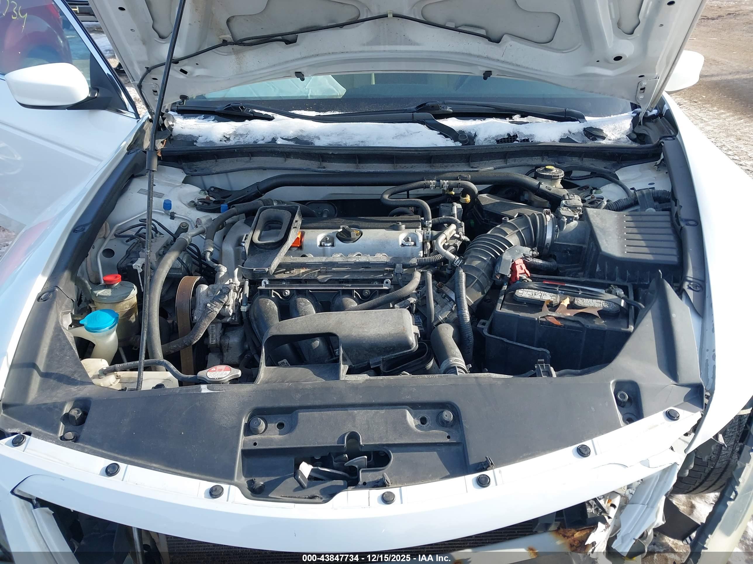 HONDA ACCORD image 10