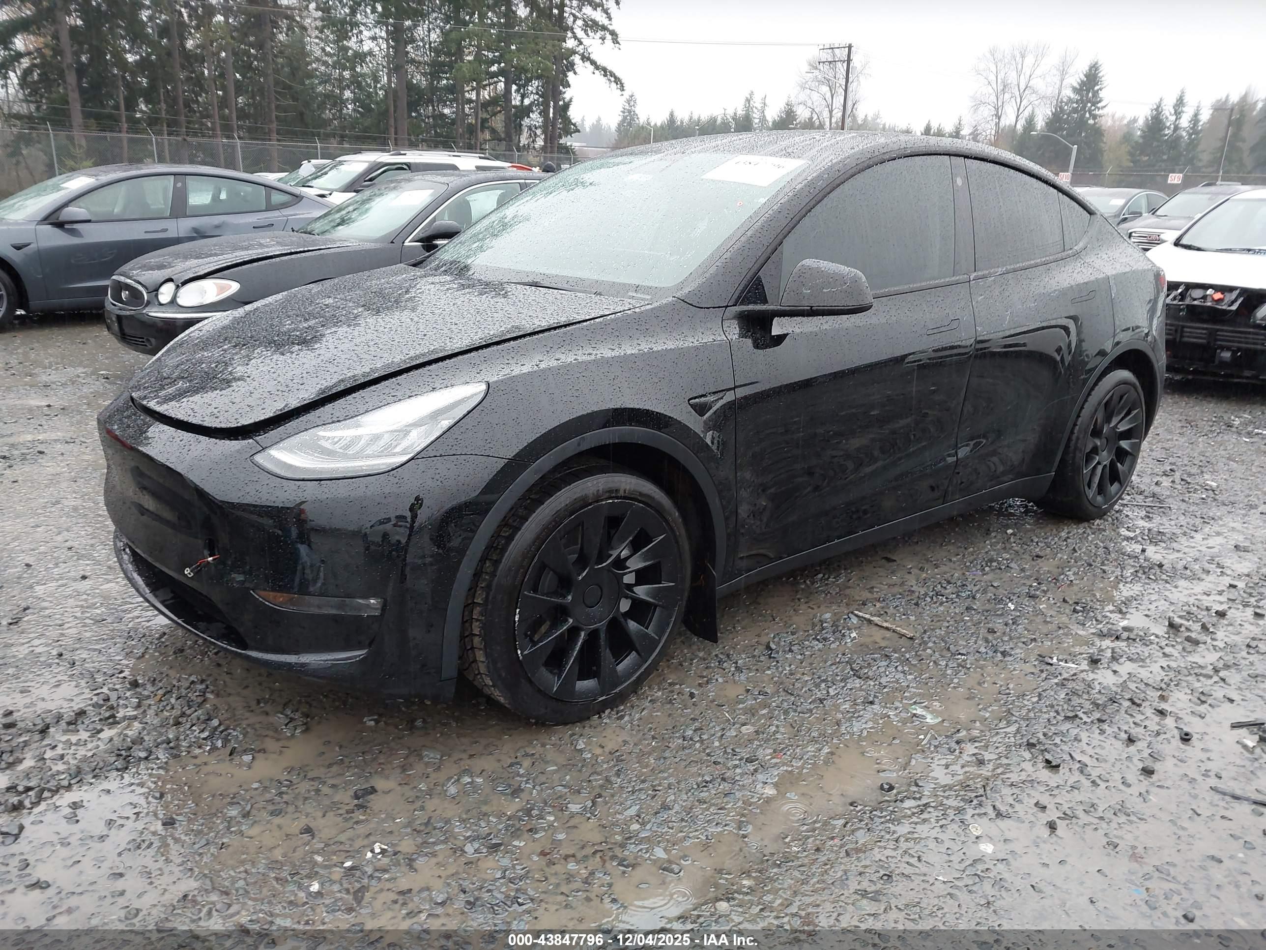 TESLA MODEL image 2