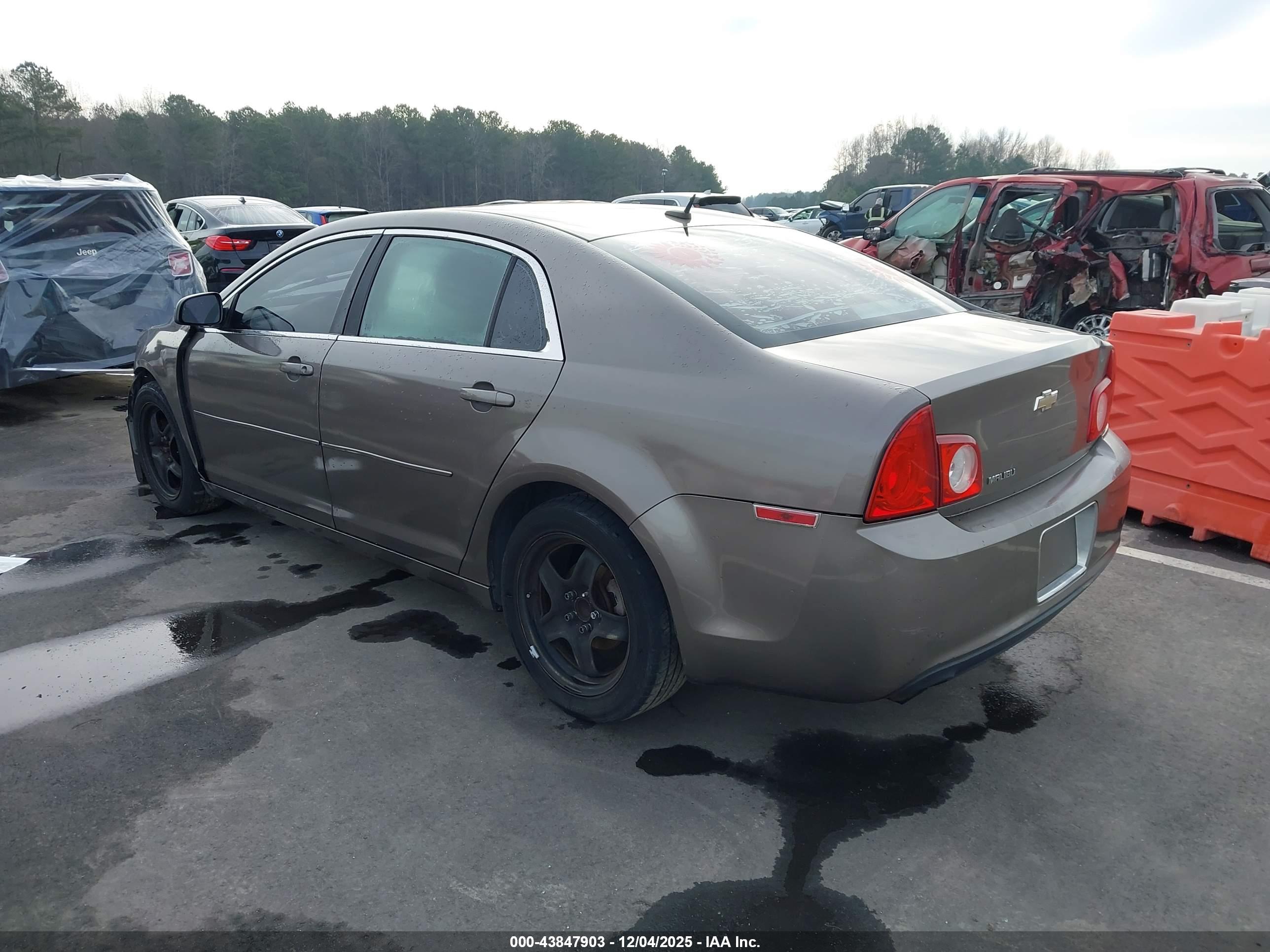 CHEVROLET MALIBU image 3