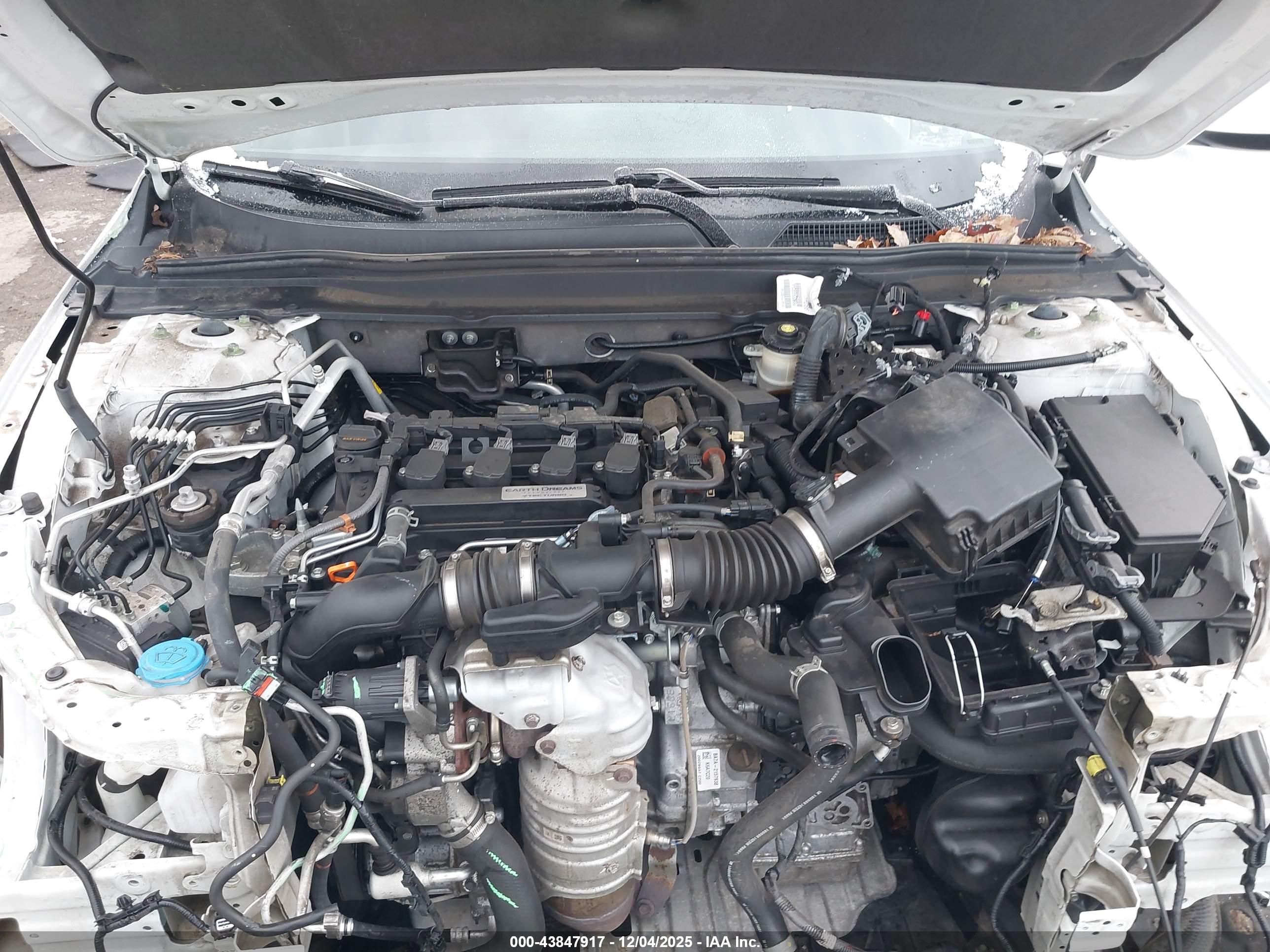 HONDA ACCORD image 10