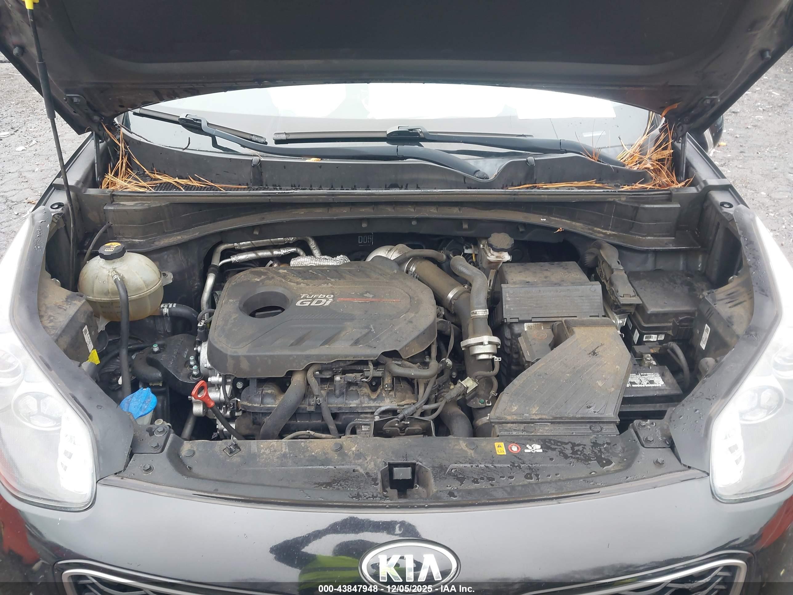 KIA SPORTAGE image 10