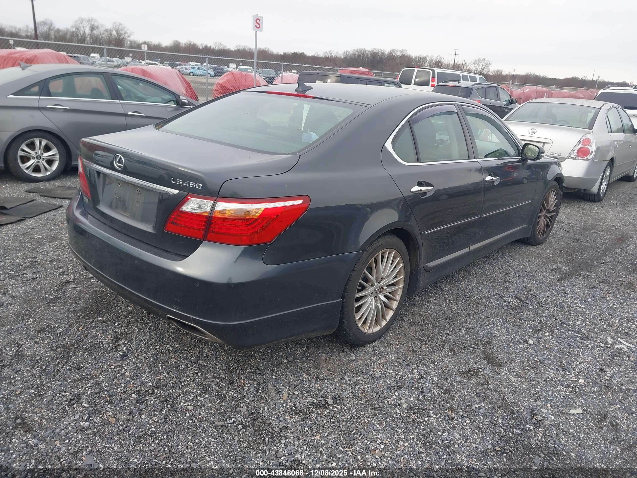 LEXUS LS image 4