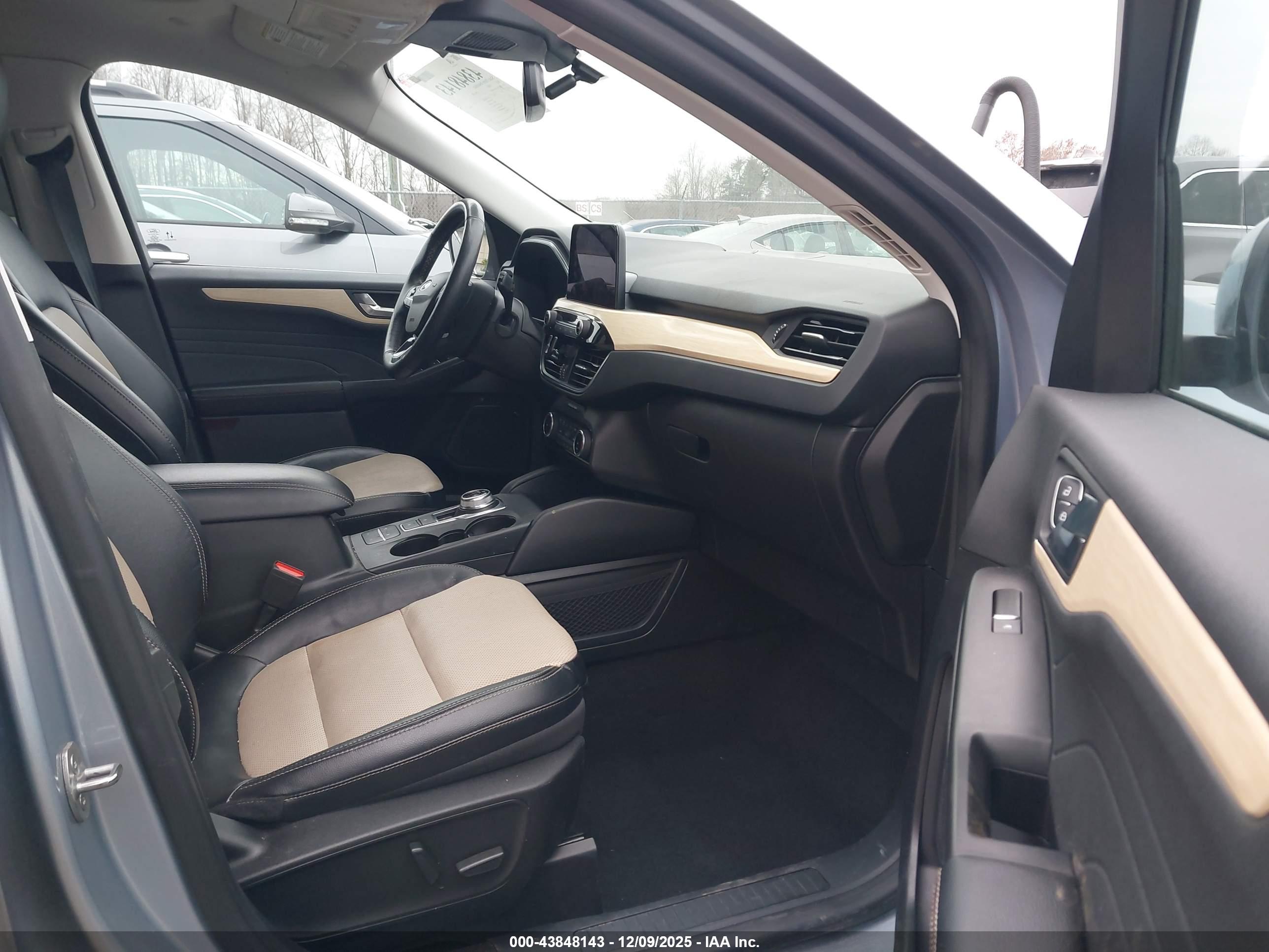FORD ESCAPE image 5