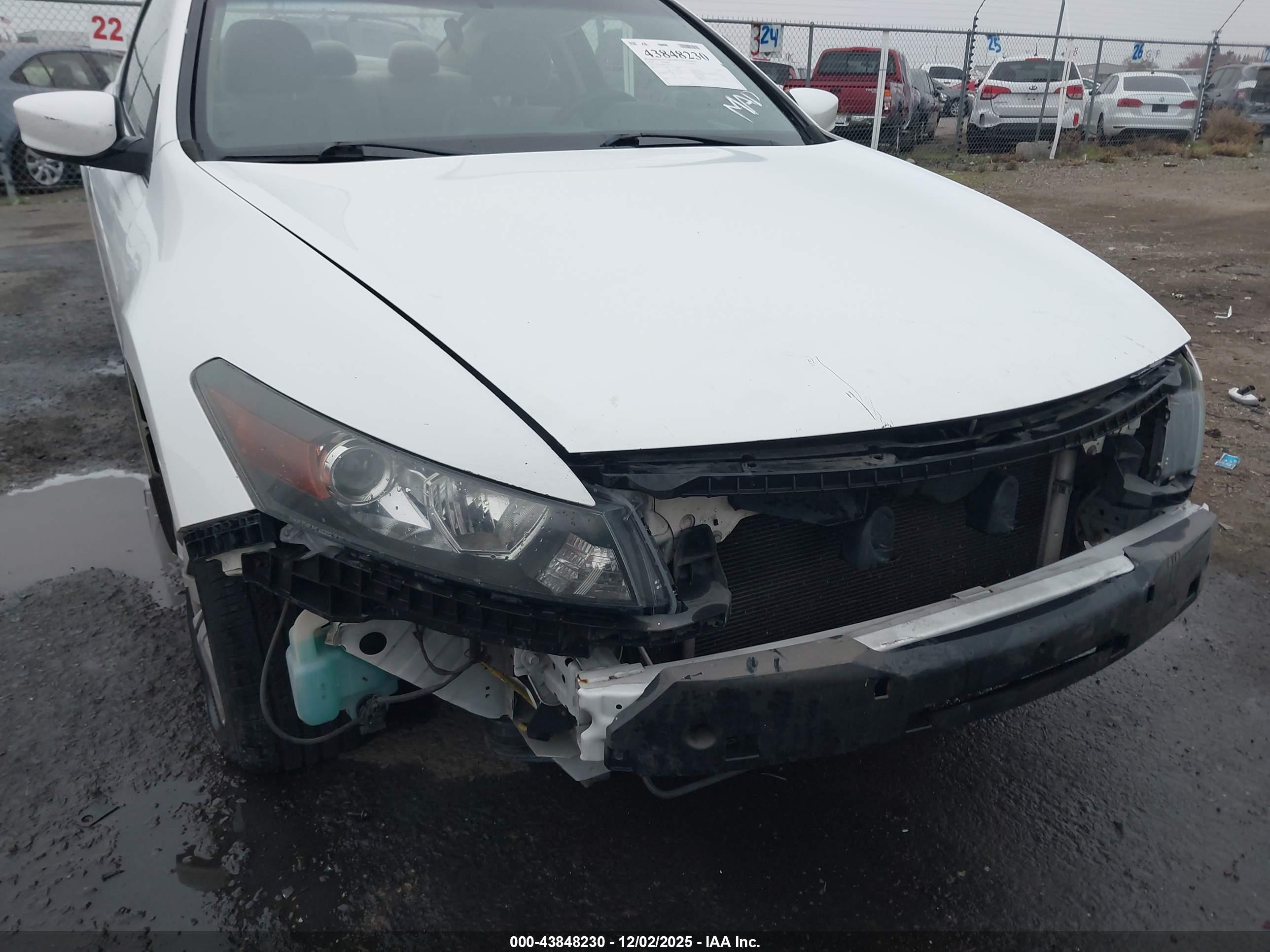 HONDA ACCORD image 6